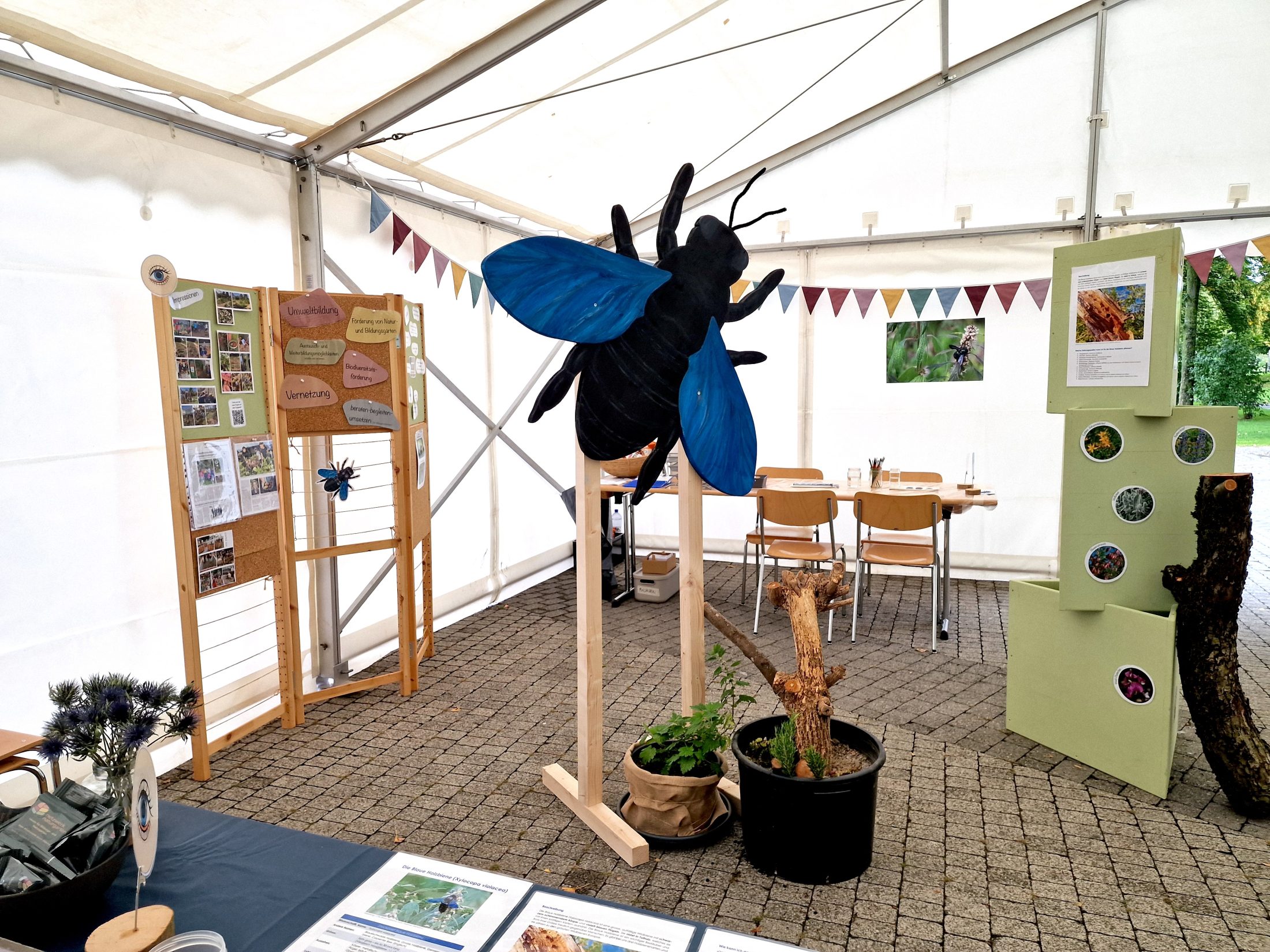 Netzwerk Naturgarten, Bienenzauber 2025 – Rückblick und Impressionen