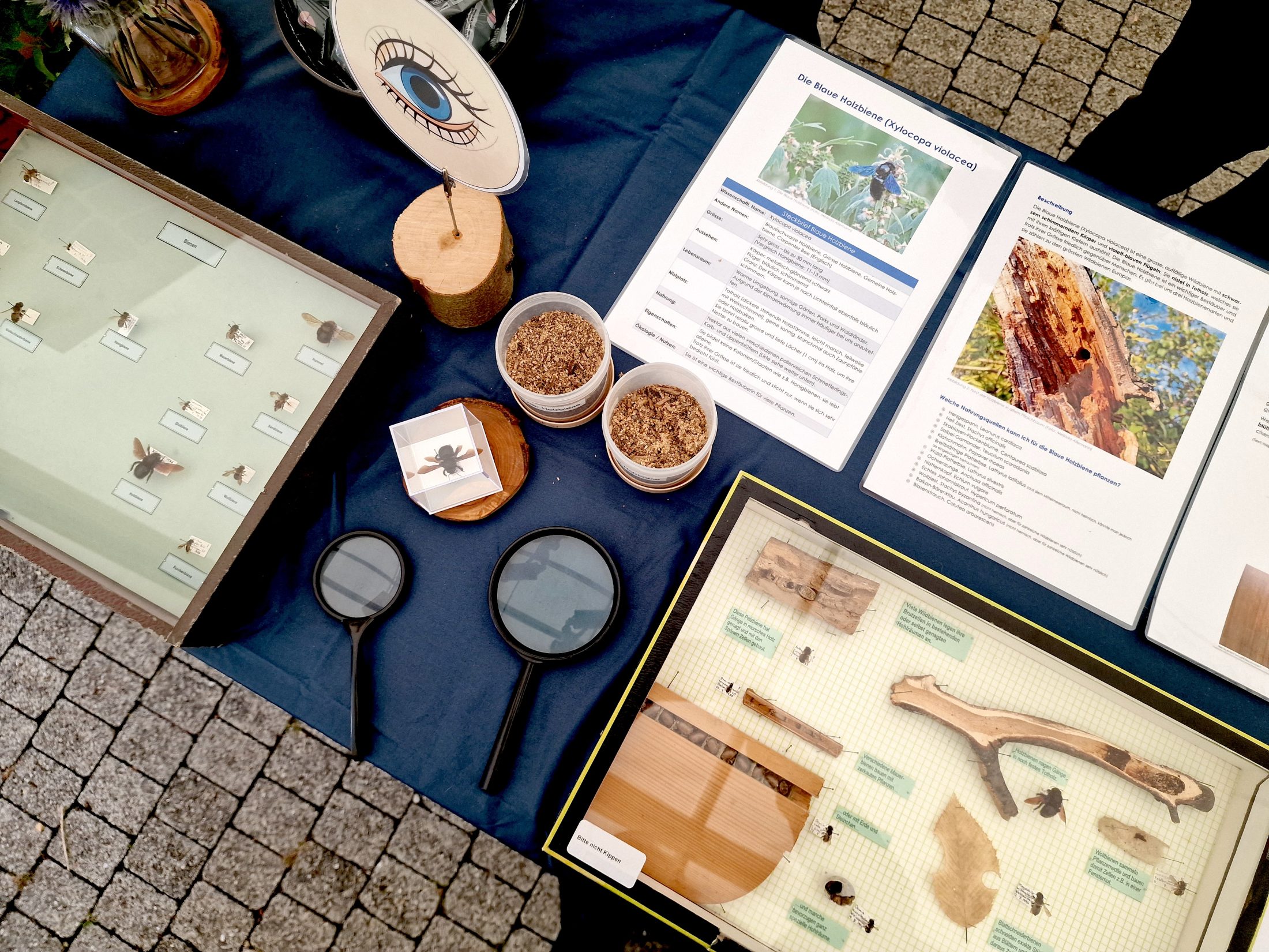 Netzwerk Naturgarten, Bienenzauber 2025 – Rückblick und Impressionen