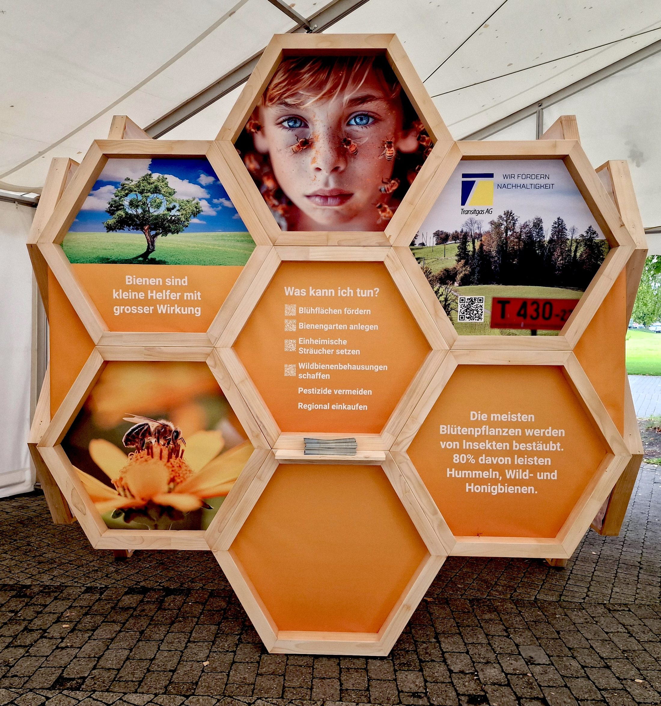 Netzwerk Naturgarten, Bienenzauber 2025 – Rückblick und Impressionen