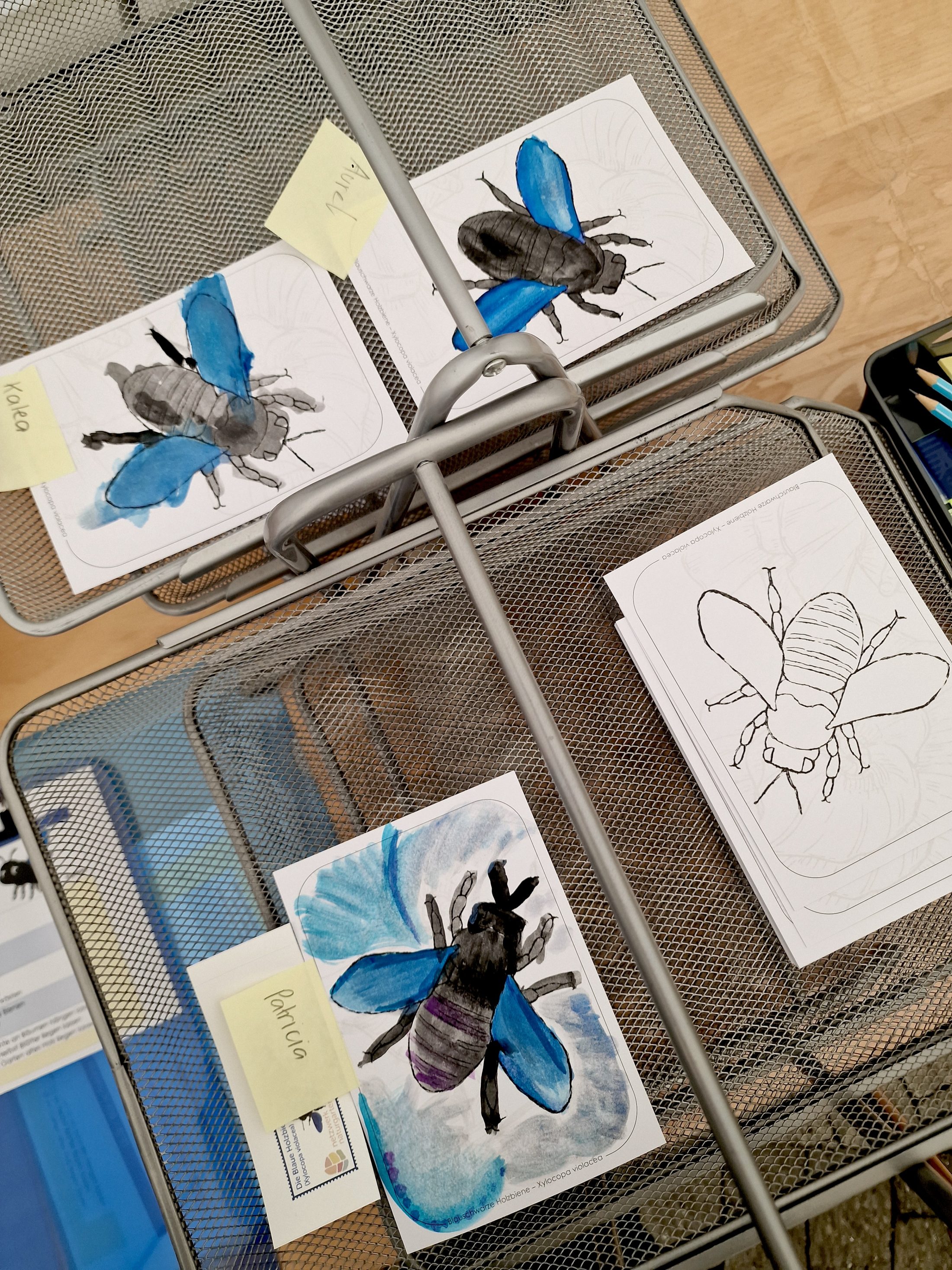 Netzwerk Naturgarten, Bienenzauber 2025 – Rückblick und Impressionen