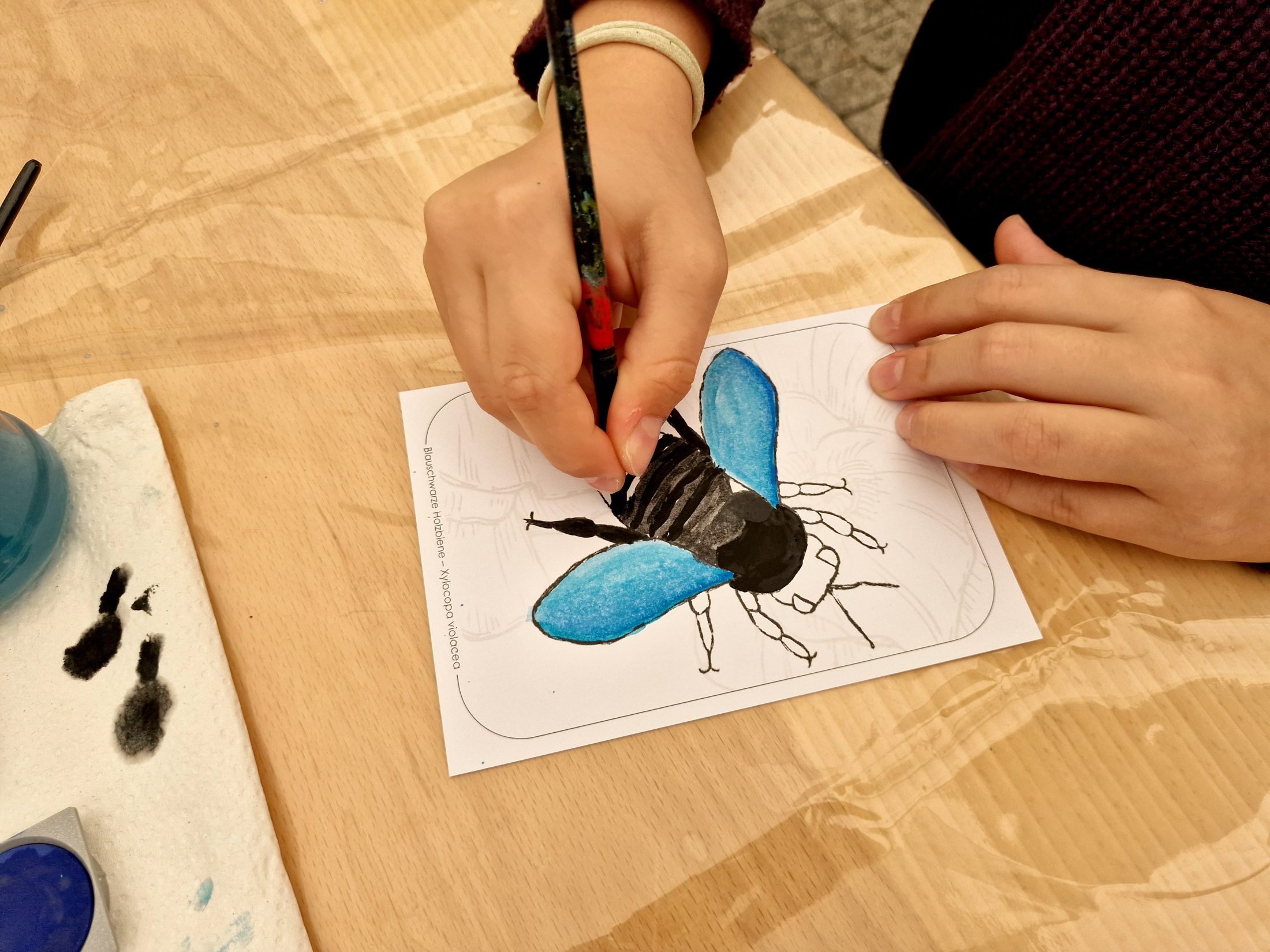 Netzwerk Naturgarten, Bienenzauber 2025 – Rückblick und Impressionen