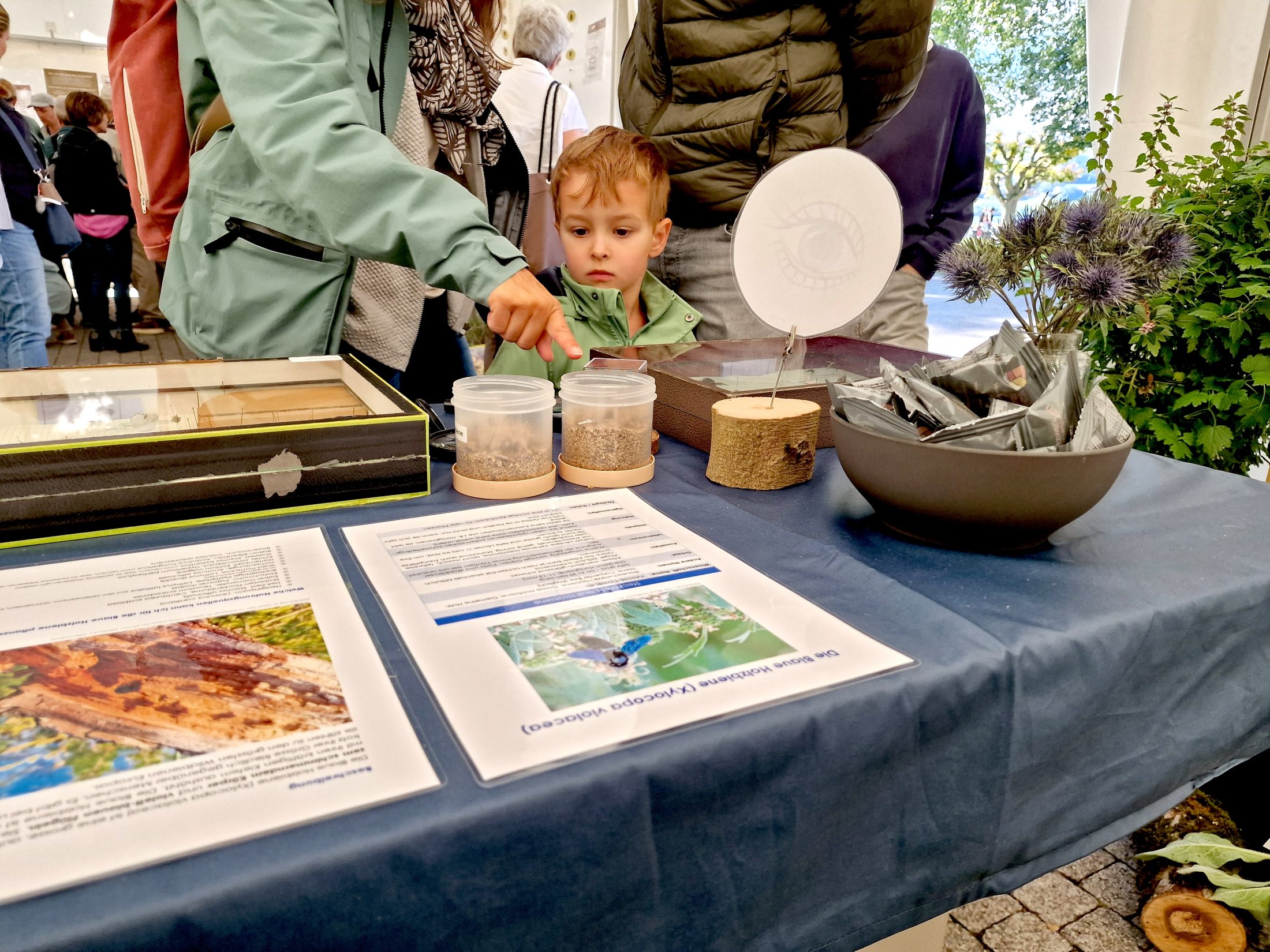 Netzwerk Naturgarten, Bienenzauber 2025 – Rückblick und Impressionen