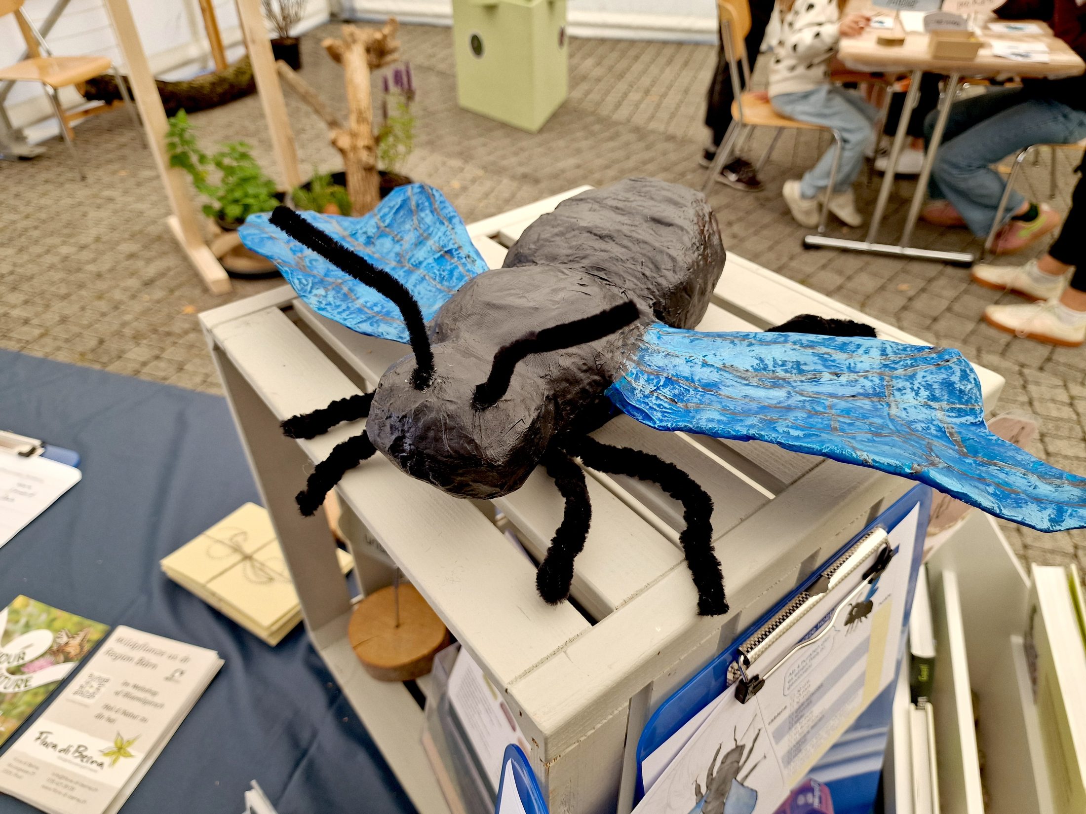 Netzwerk Naturgarten, Bienenzauber 2025 – Rückblick und Impressionen