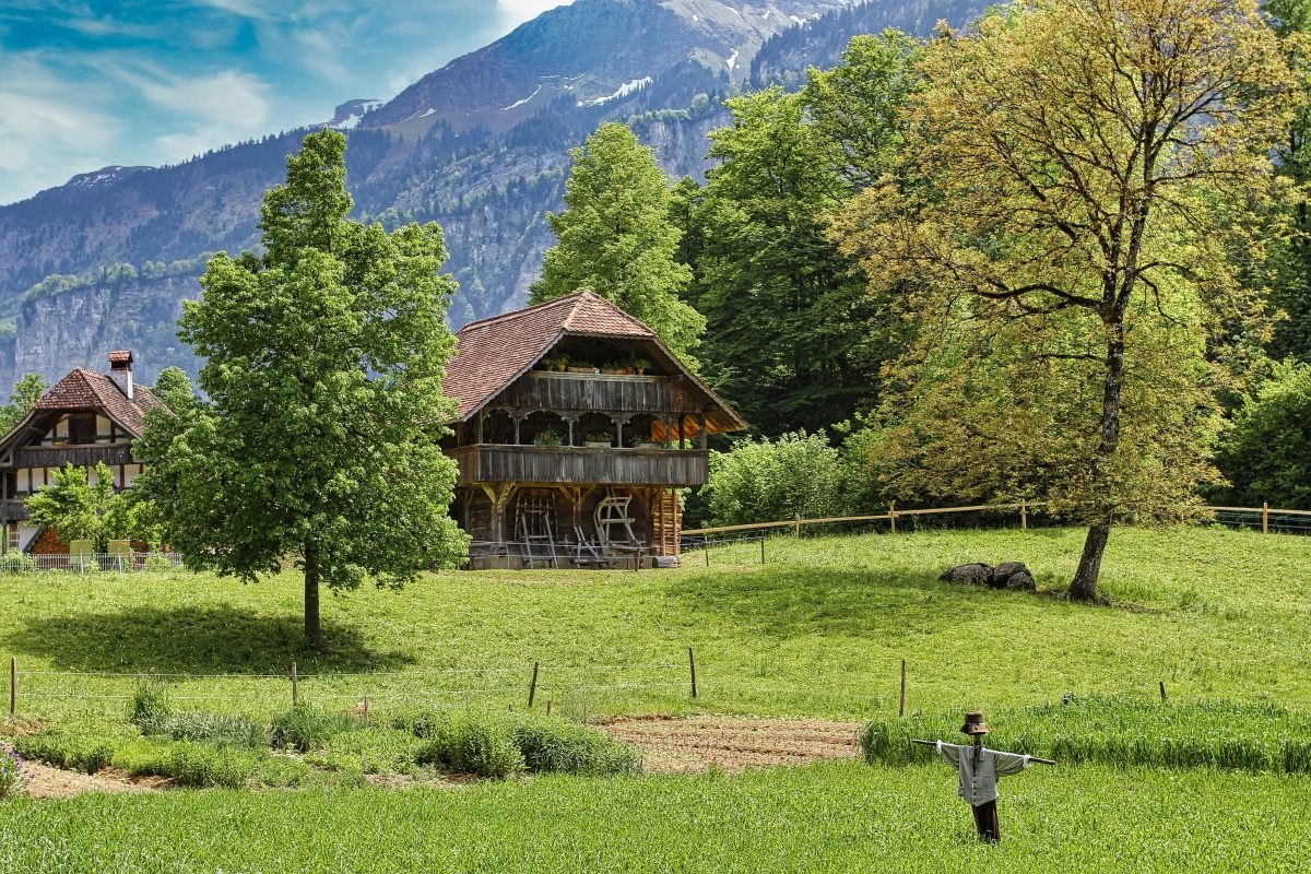 Netzwerk Naturgarten, Biodiversität auf dem Ballenberg