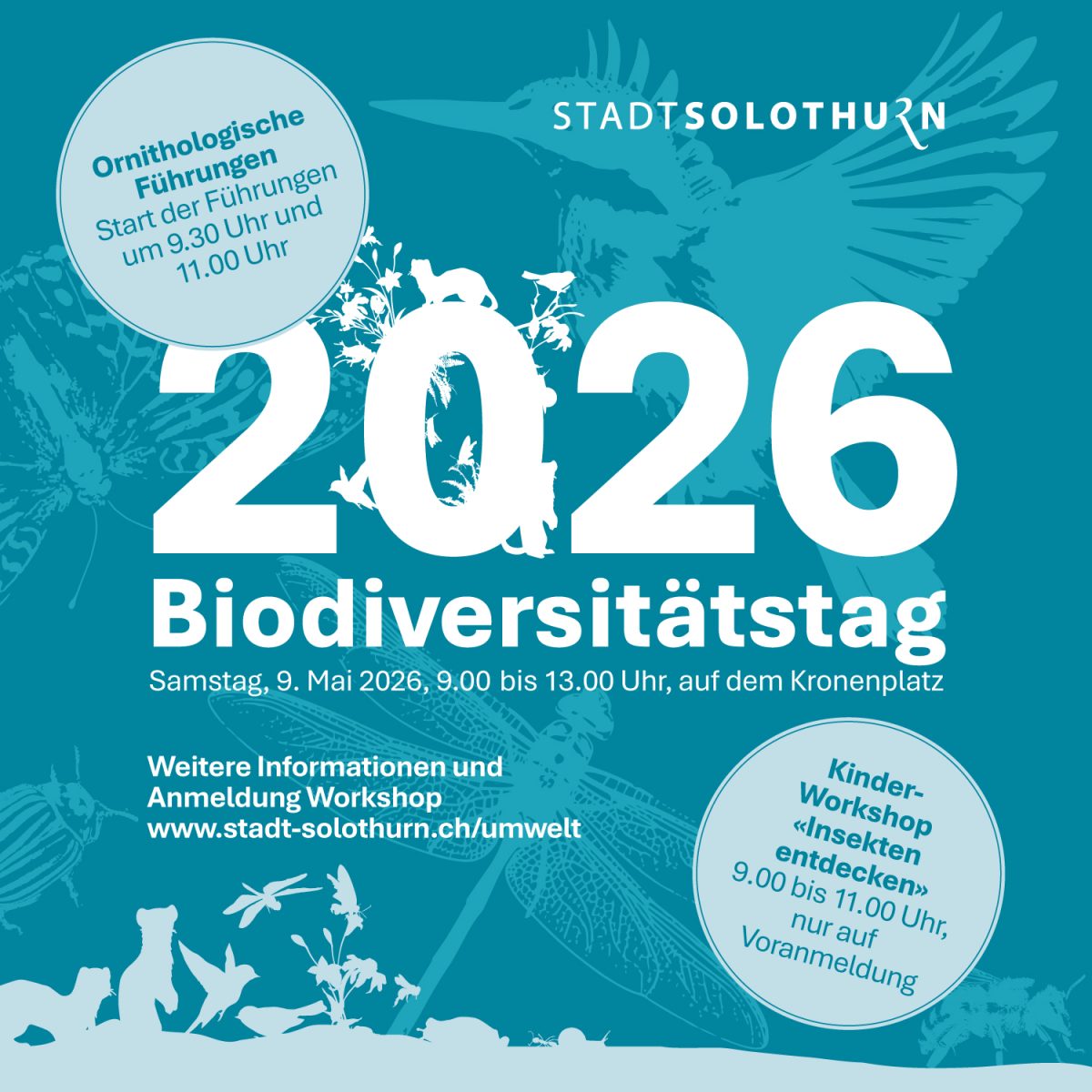 Netzwerk Naturgarten, Biodiversitätstag der Stadt Solothurn