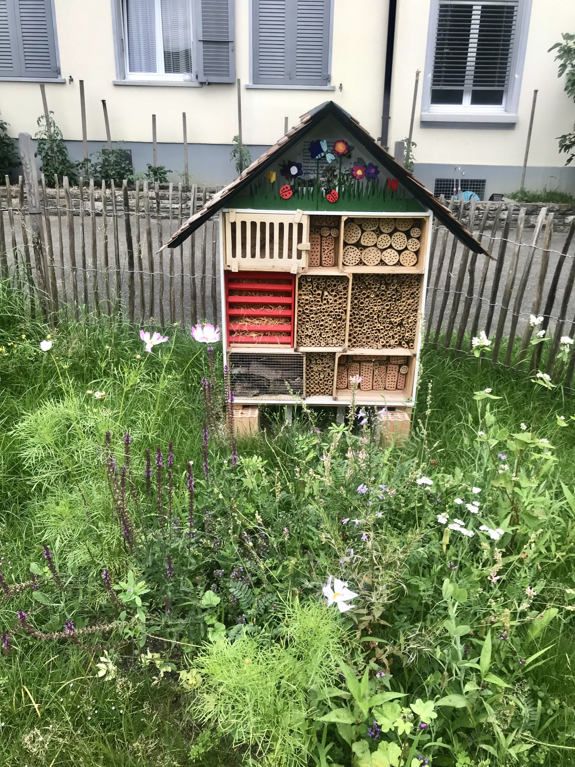 Netzwerk Naturgarten, Schulnaturgarten Horriwil 2025