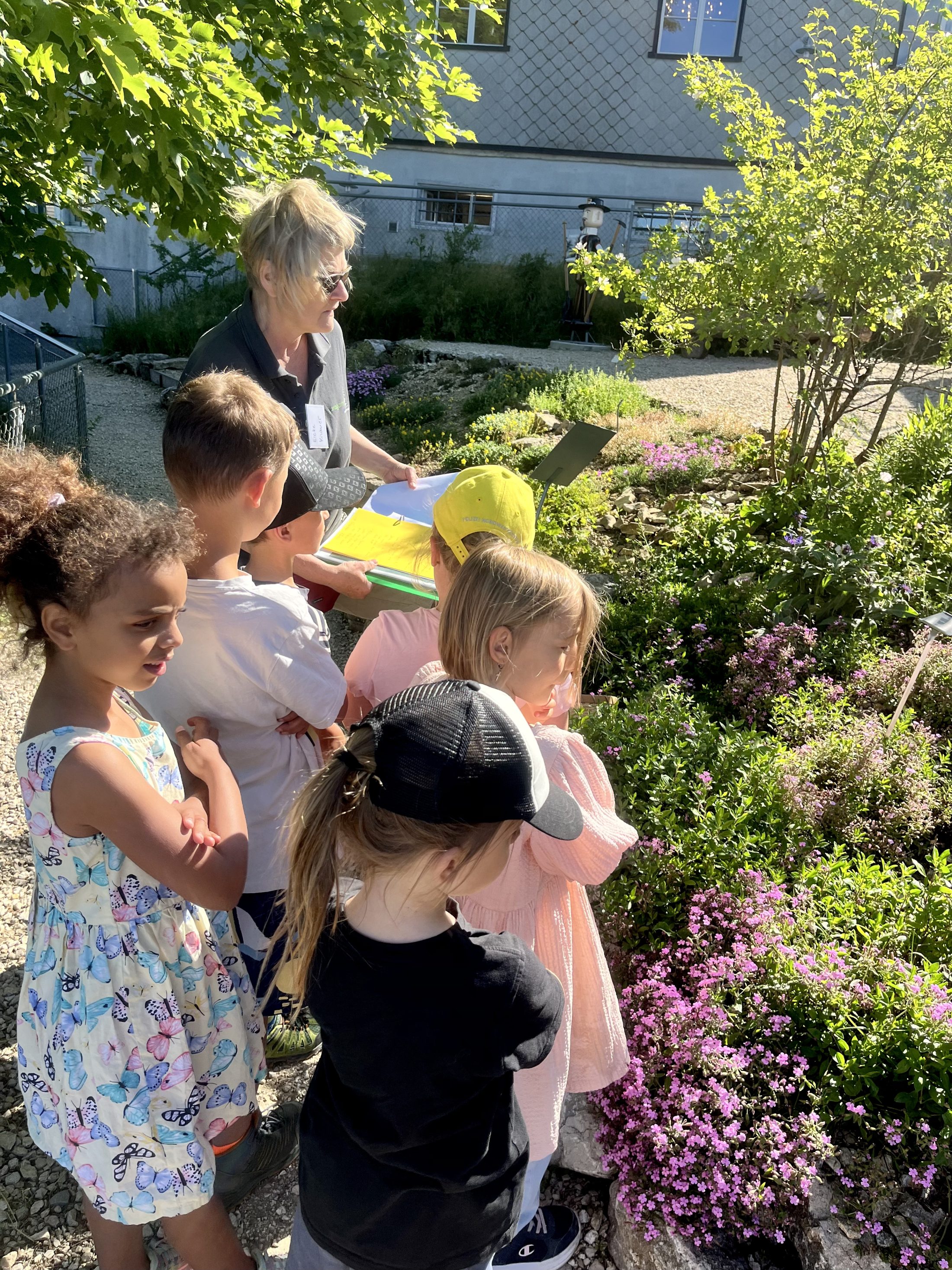 Netzwerk Naturgarten, Wilde Kräuter – entdecken und essen 24.6.25