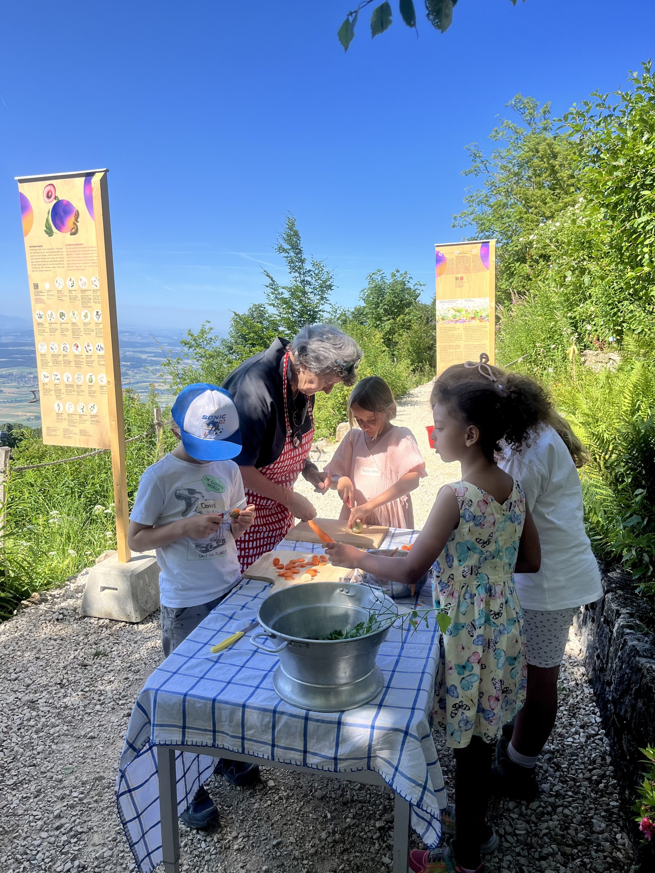Netzwerk Naturgarten, Wilde Kräuter – entdecken und essen 24.6.25