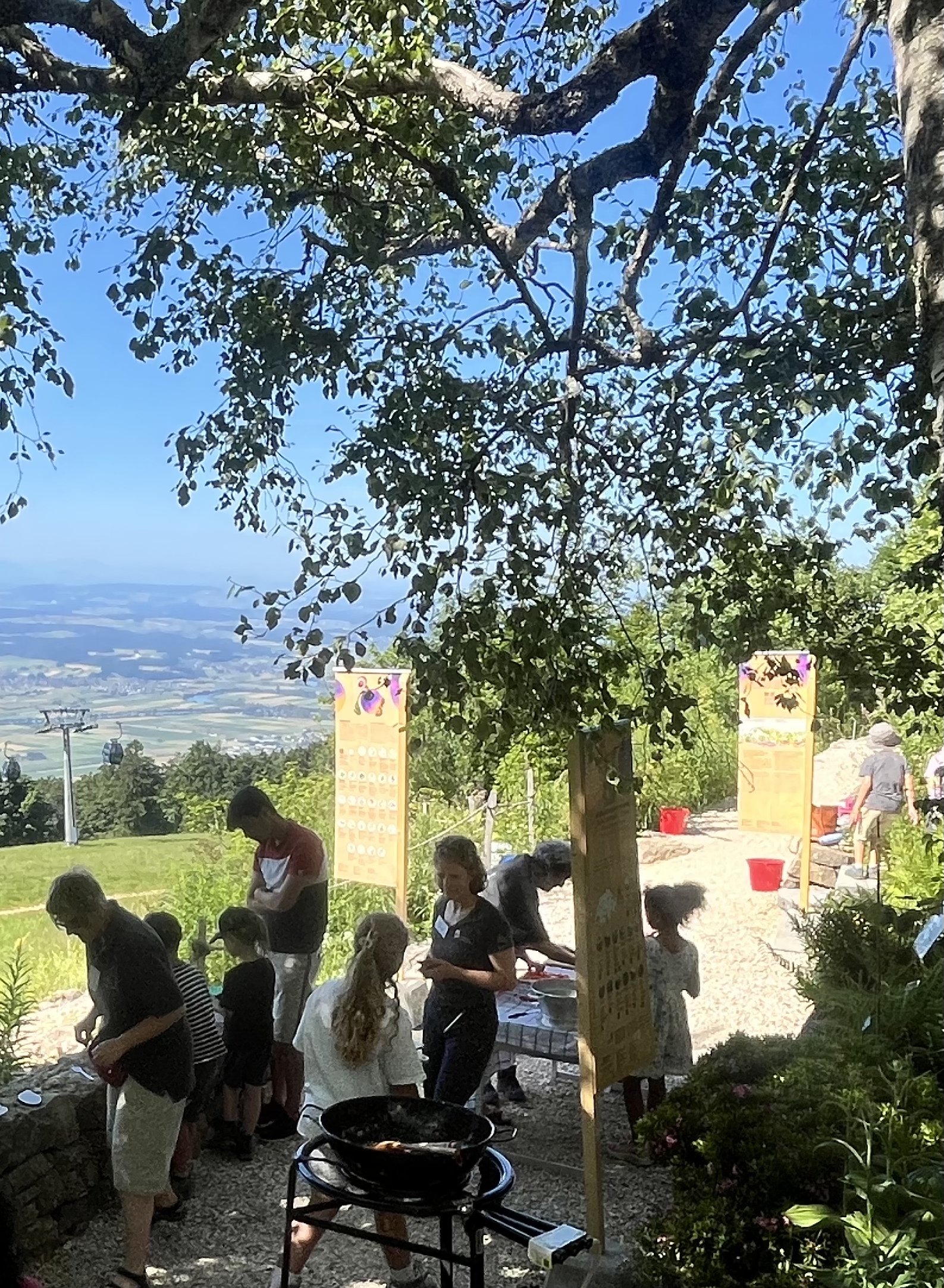 Netzwerk Naturgarten, Wilde Kräuter – entdecken und essen 24.6.25