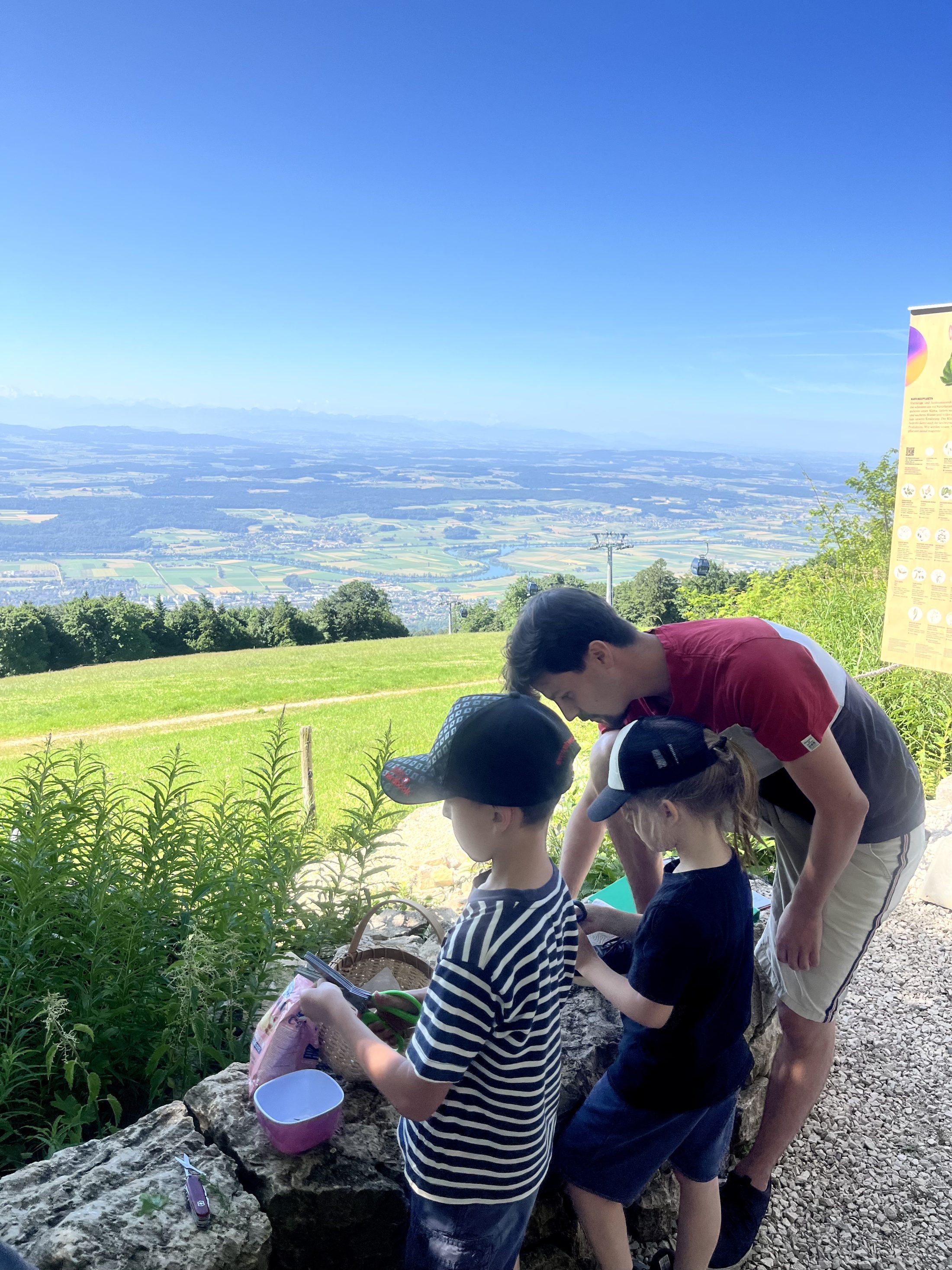 Netzwerk Naturgarten, Wilde Kräuter – entdecken und essen 24.6.25