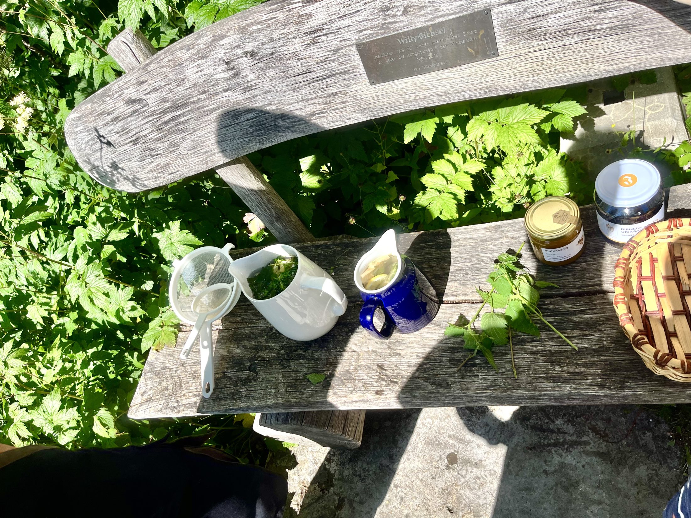 Netzwerk Naturgarten, Wilde Kräuter – entdecken und essen 24.6.25
