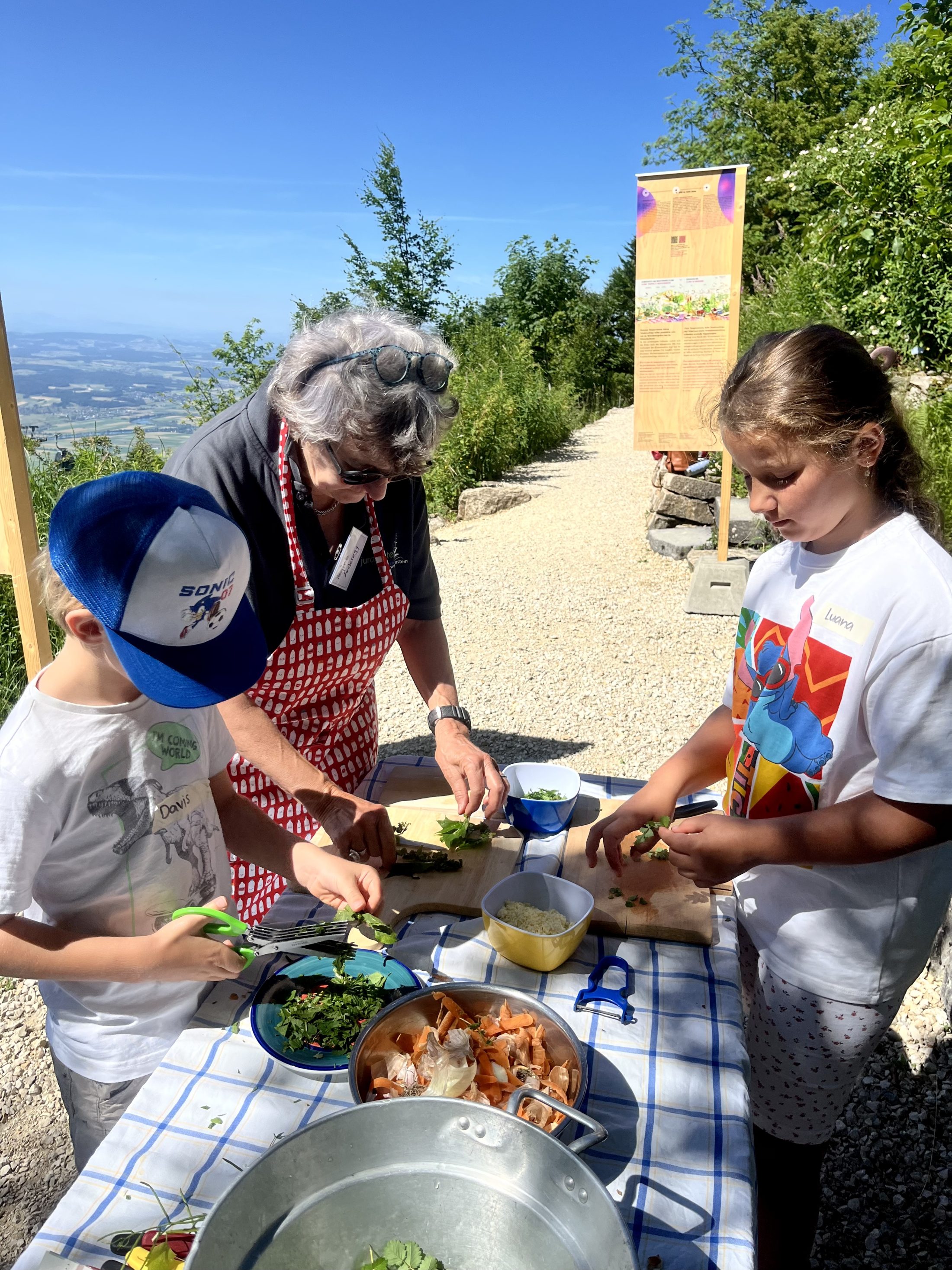 Netzwerk Naturgarten, Wilde Kräuter – entdecken und essen 24.6.25