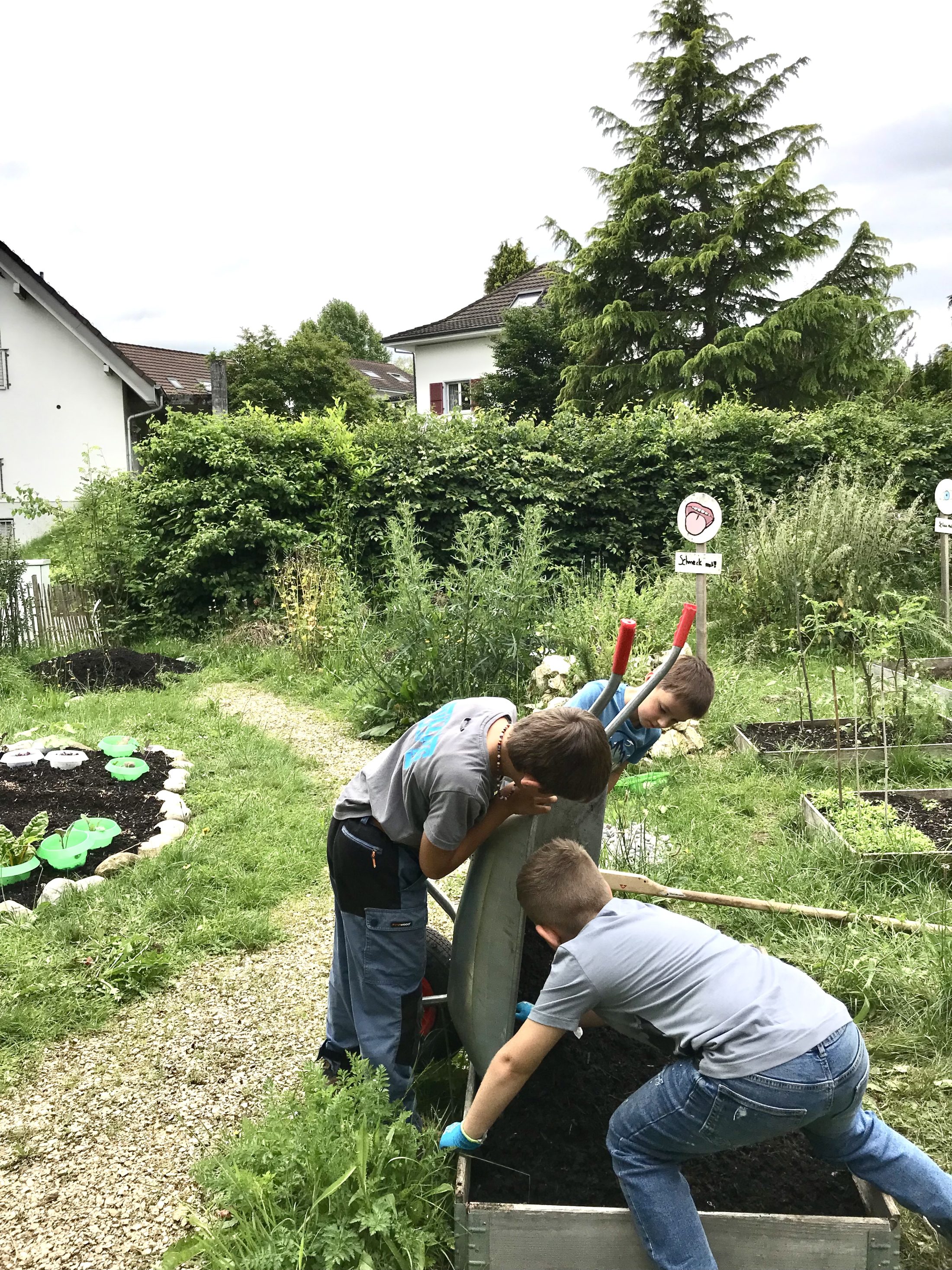 Netzwerk Naturgarten, Schulnaturgarten Horriwil 2025