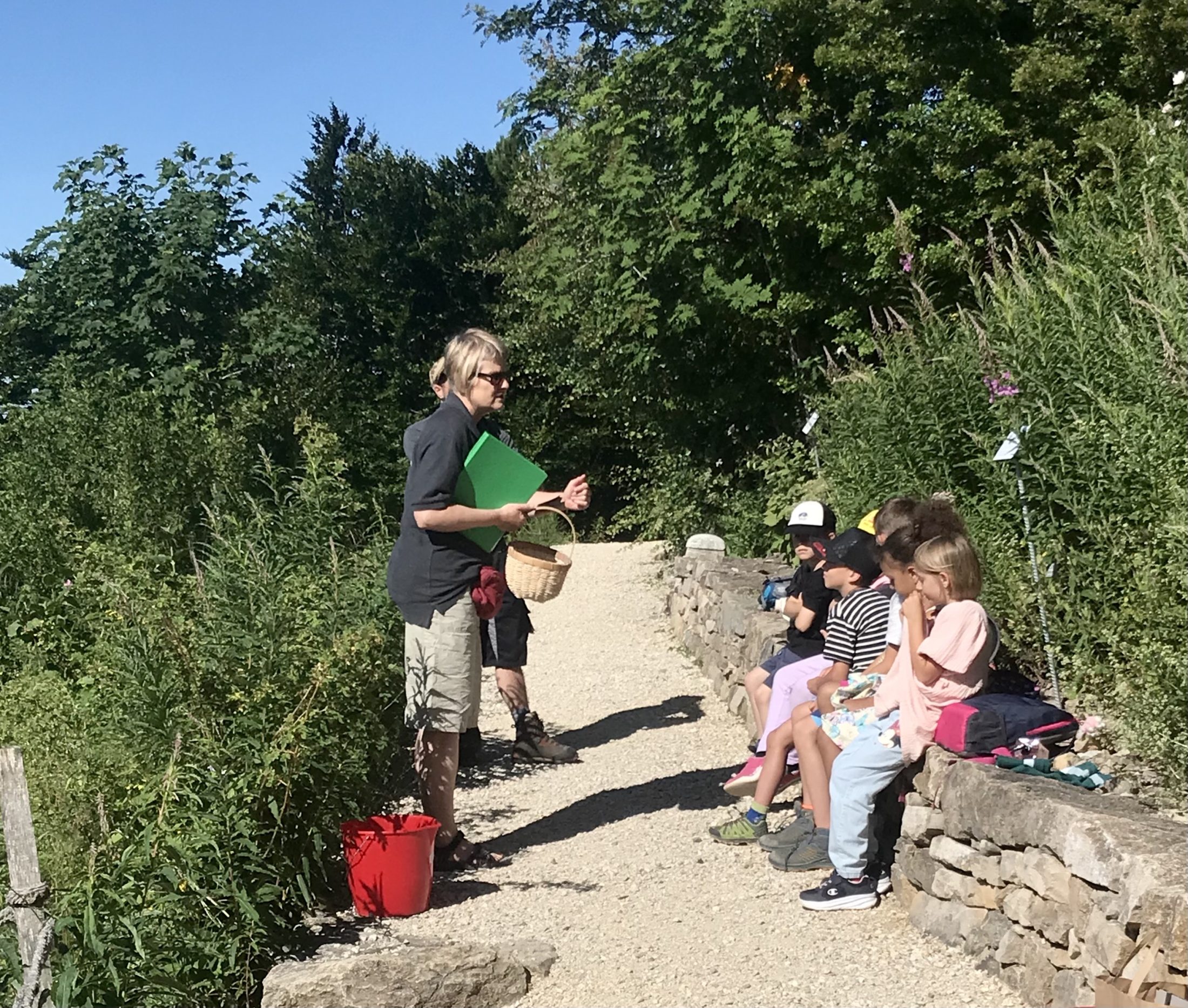 Netzwerk Naturgarten, Wilde Kräuter – entdecken und essen 24.6.25