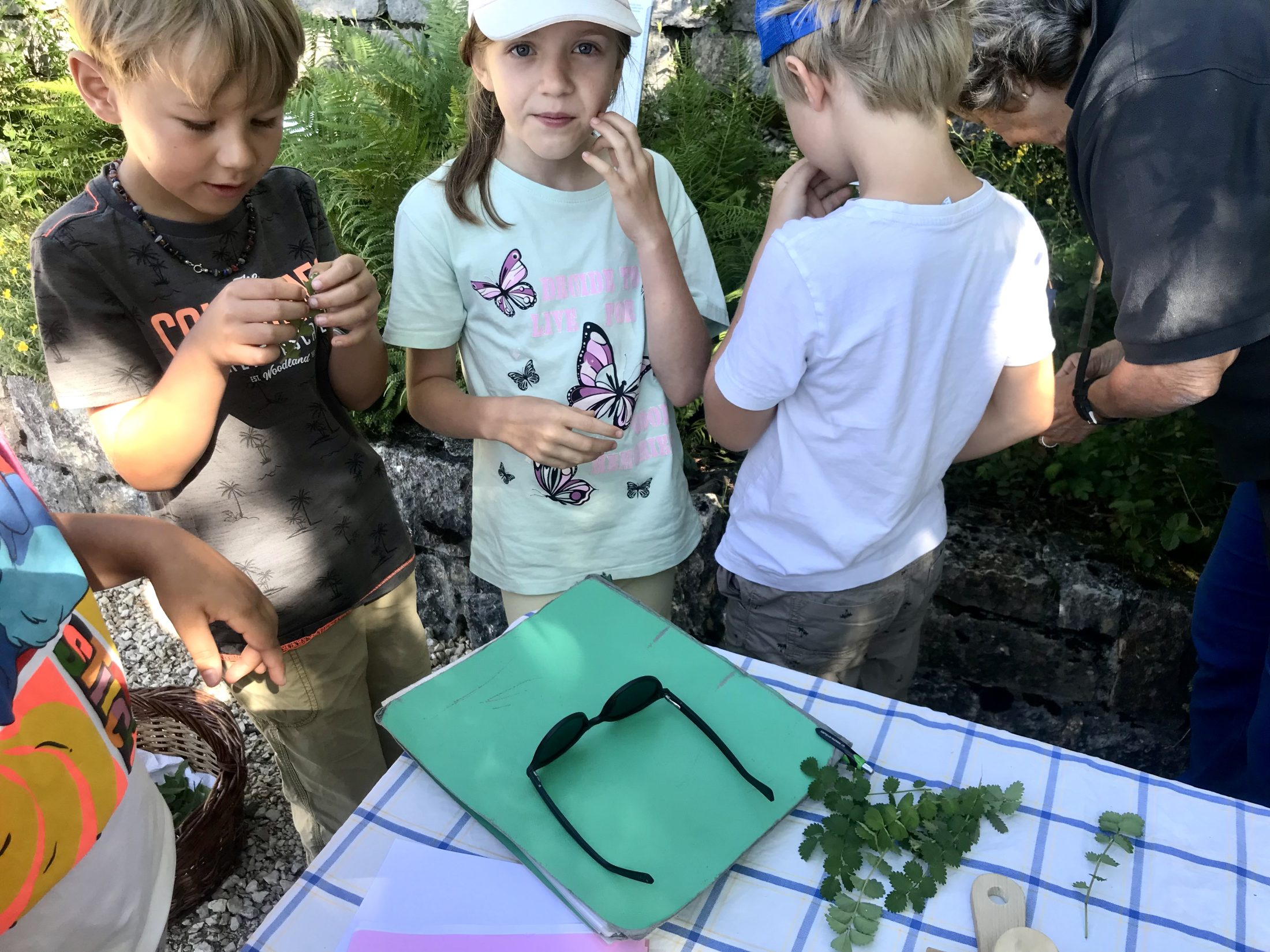 Netzwerk Naturgarten, Wilde Kräuter – entdecken und essen 24.6.25