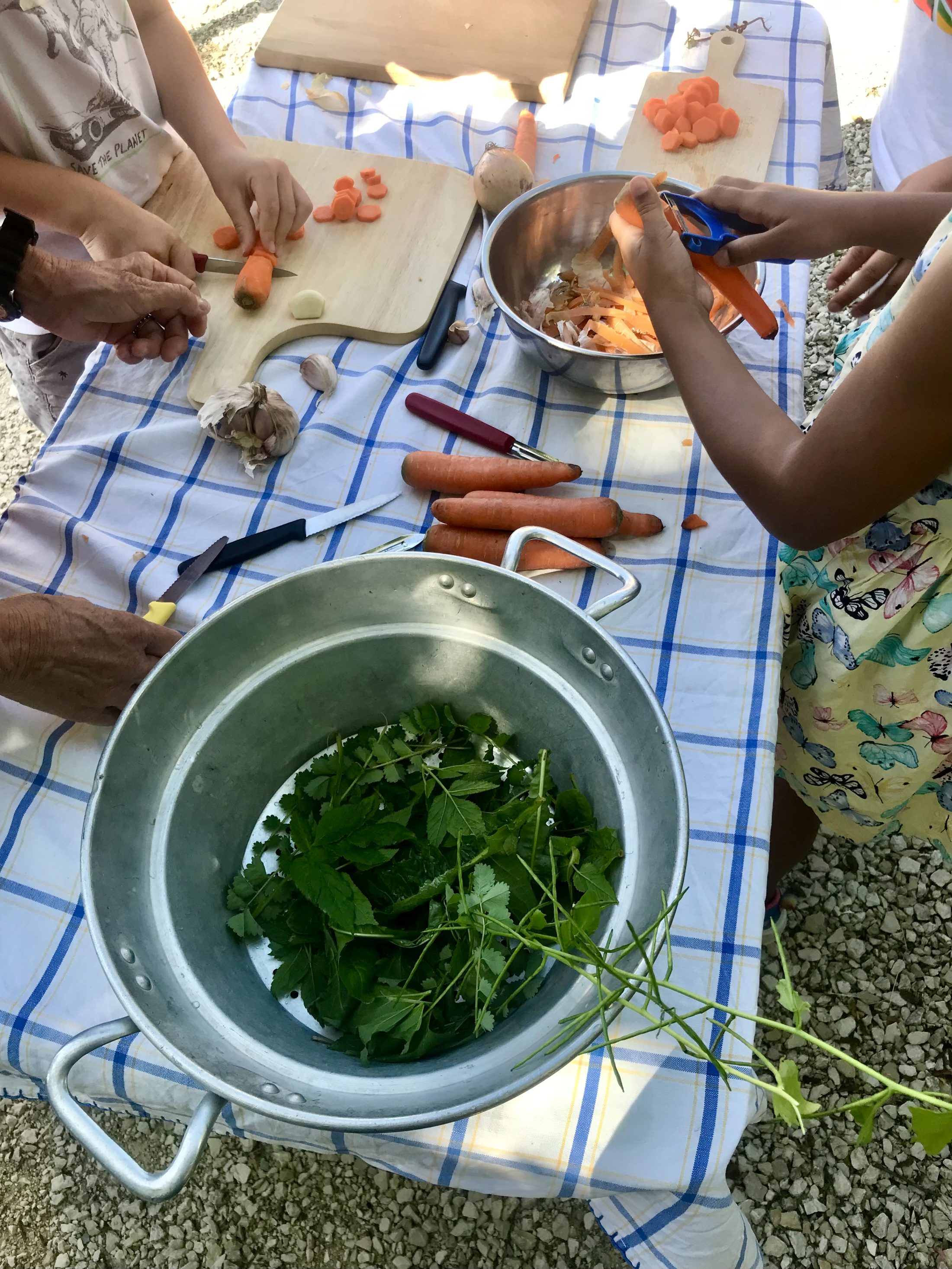 Netzwerk Naturgarten, Wilde Kräuter – entdecken und essen 24.6.25