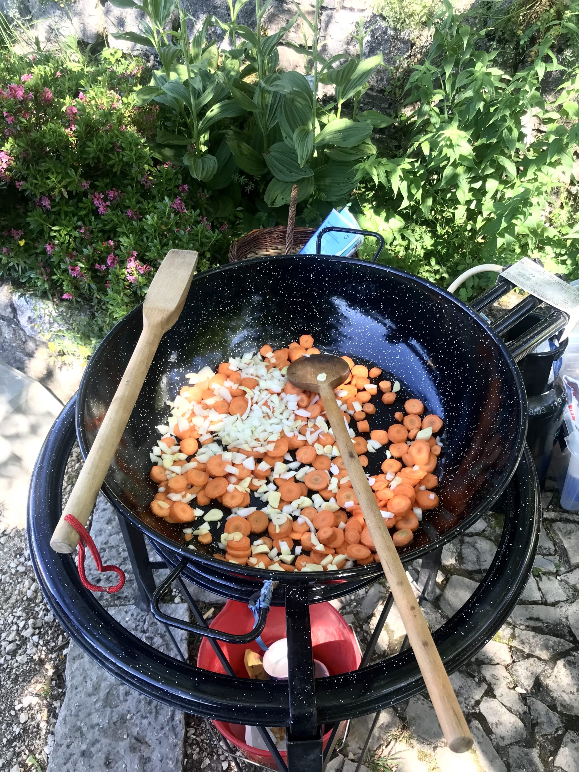 Netzwerk Naturgarten, Wilde Kräuter – entdecken und essen 24.6.25