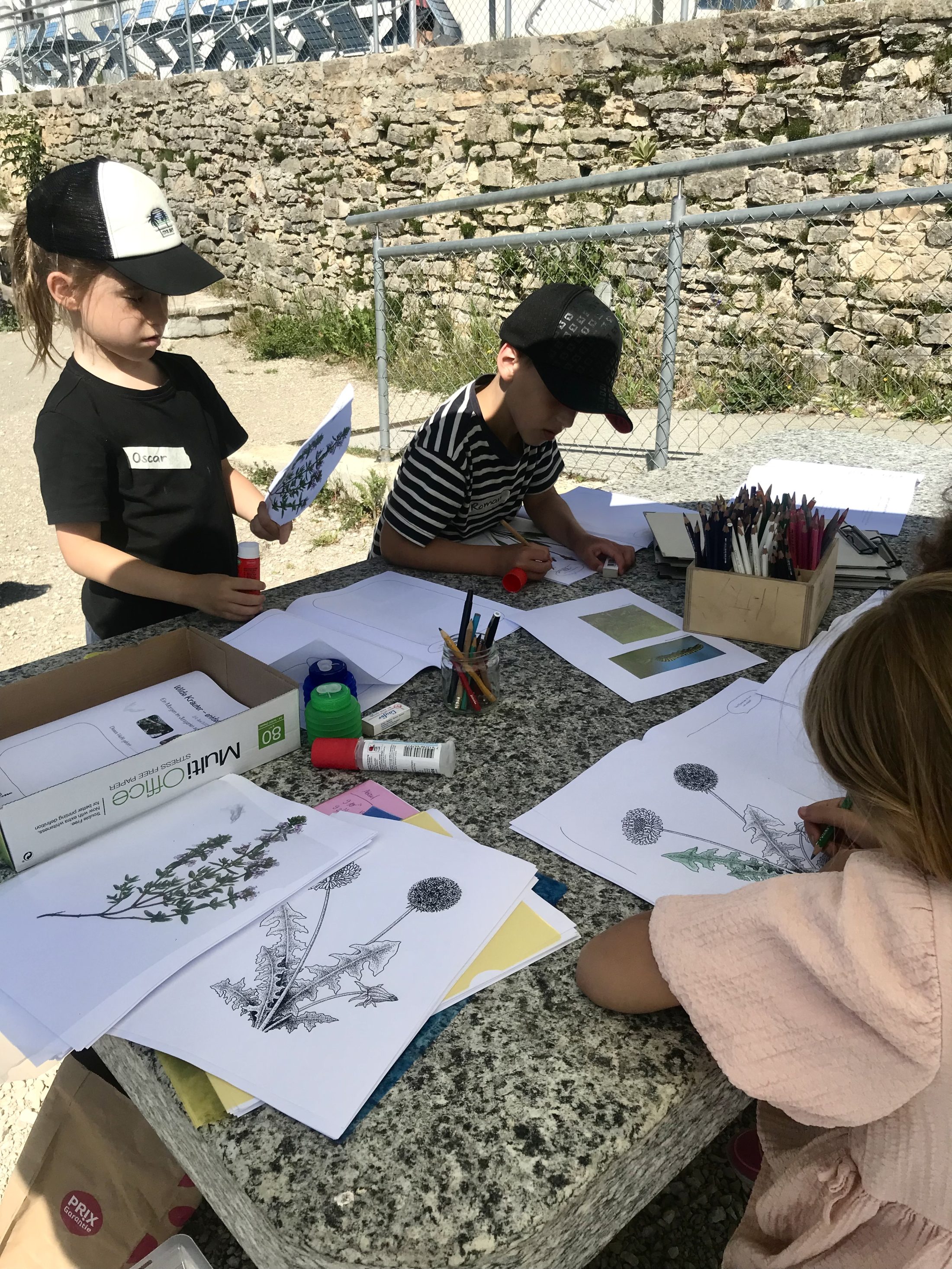 Netzwerk Naturgarten, Wilde Kräuter – entdecken und essen 24.6.25