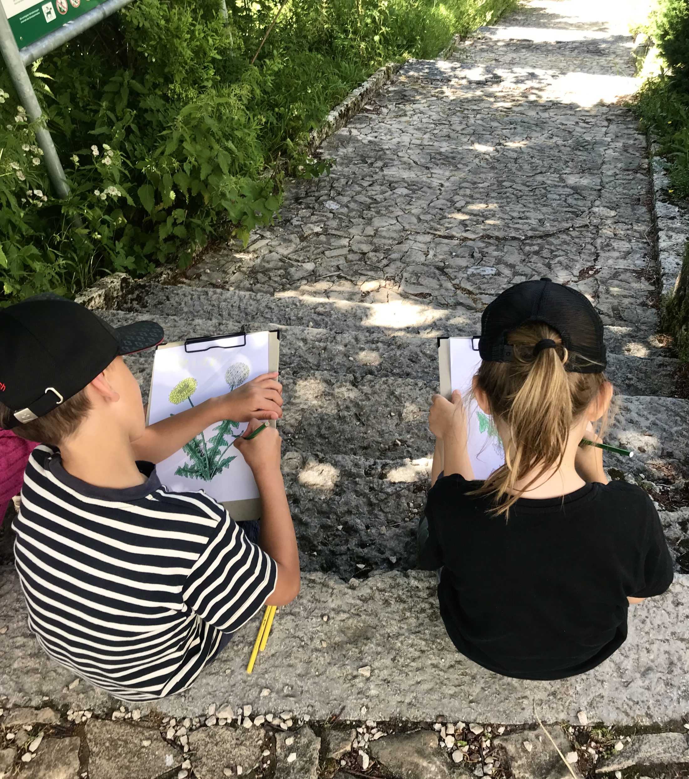 Netzwerk Naturgarten, Wilde Kräuter – entdecken und essen 24.6.25