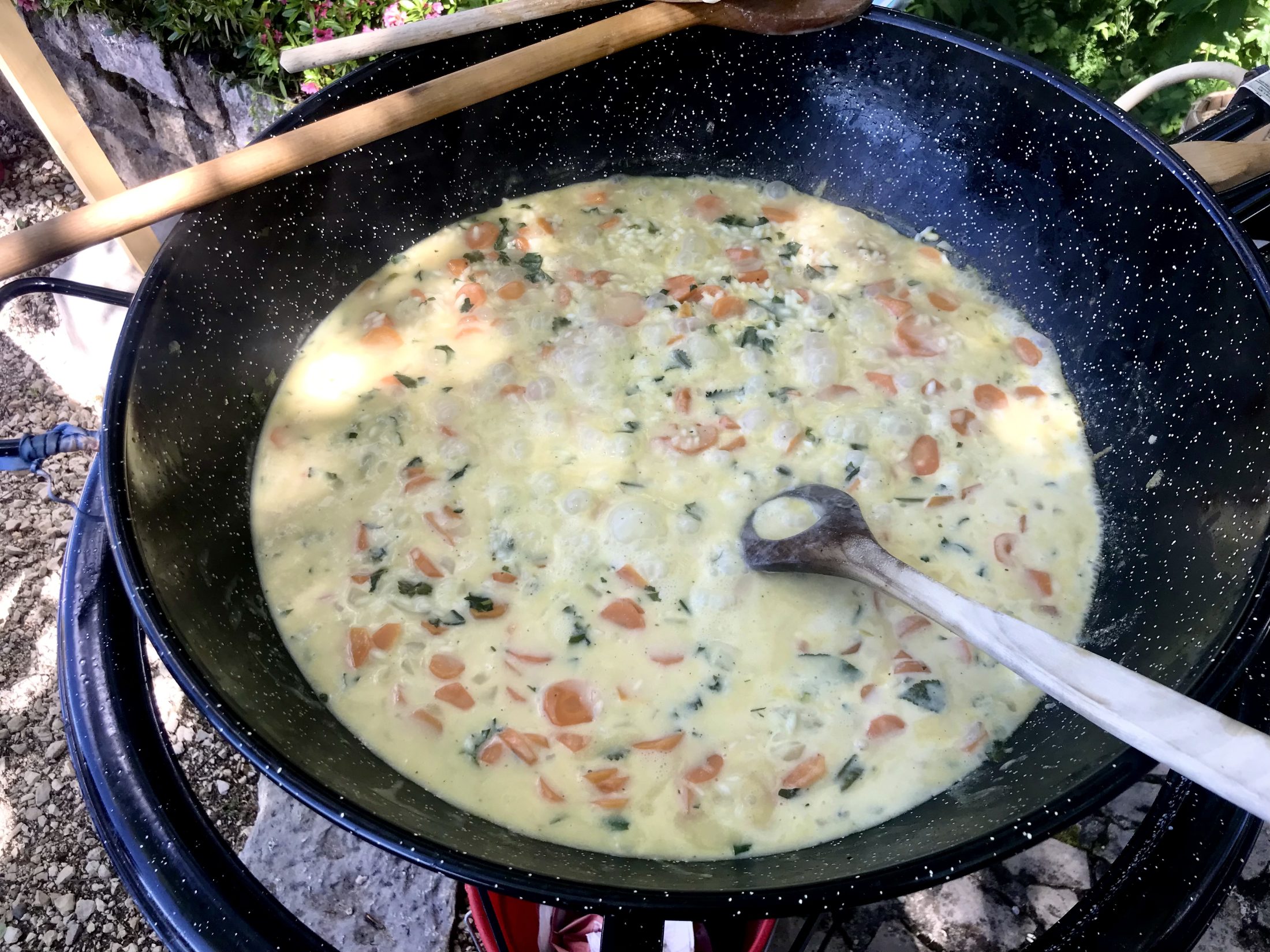 Netzwerk Naturgarten, Wilde Kräuter – entdecken und essen 24.6.25