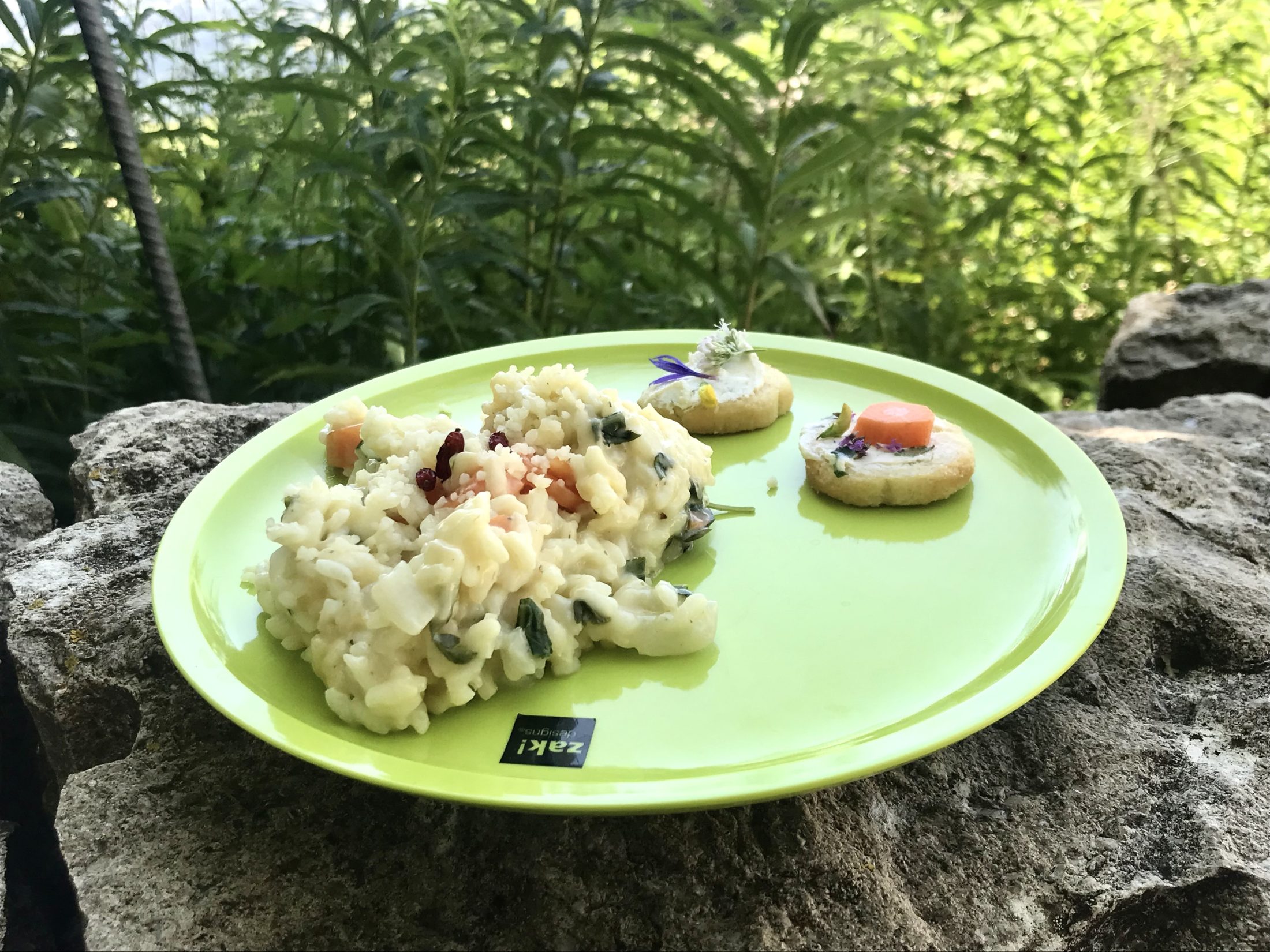 Netzwerk Naturgarten, Wilde Kräuter – entdecken und essen 24.6.25