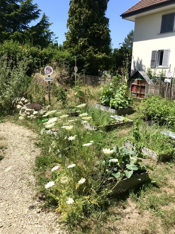 Netzwerk Naturgarten, Schulnaturgarten Horriwil 2025
