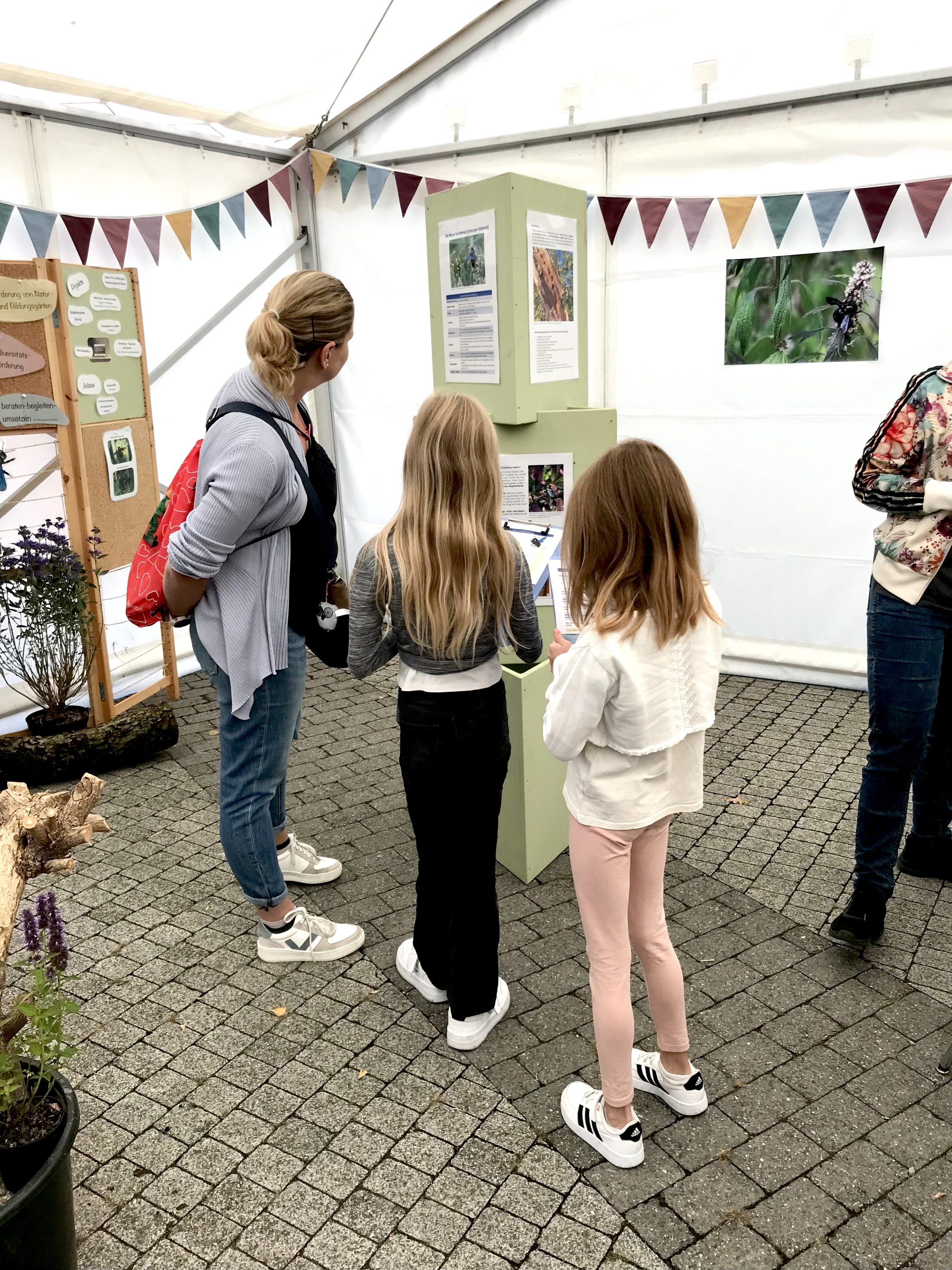 Netzwerk Naturgarten, Bienenzauber 2025 – Rückblick und Impressionen