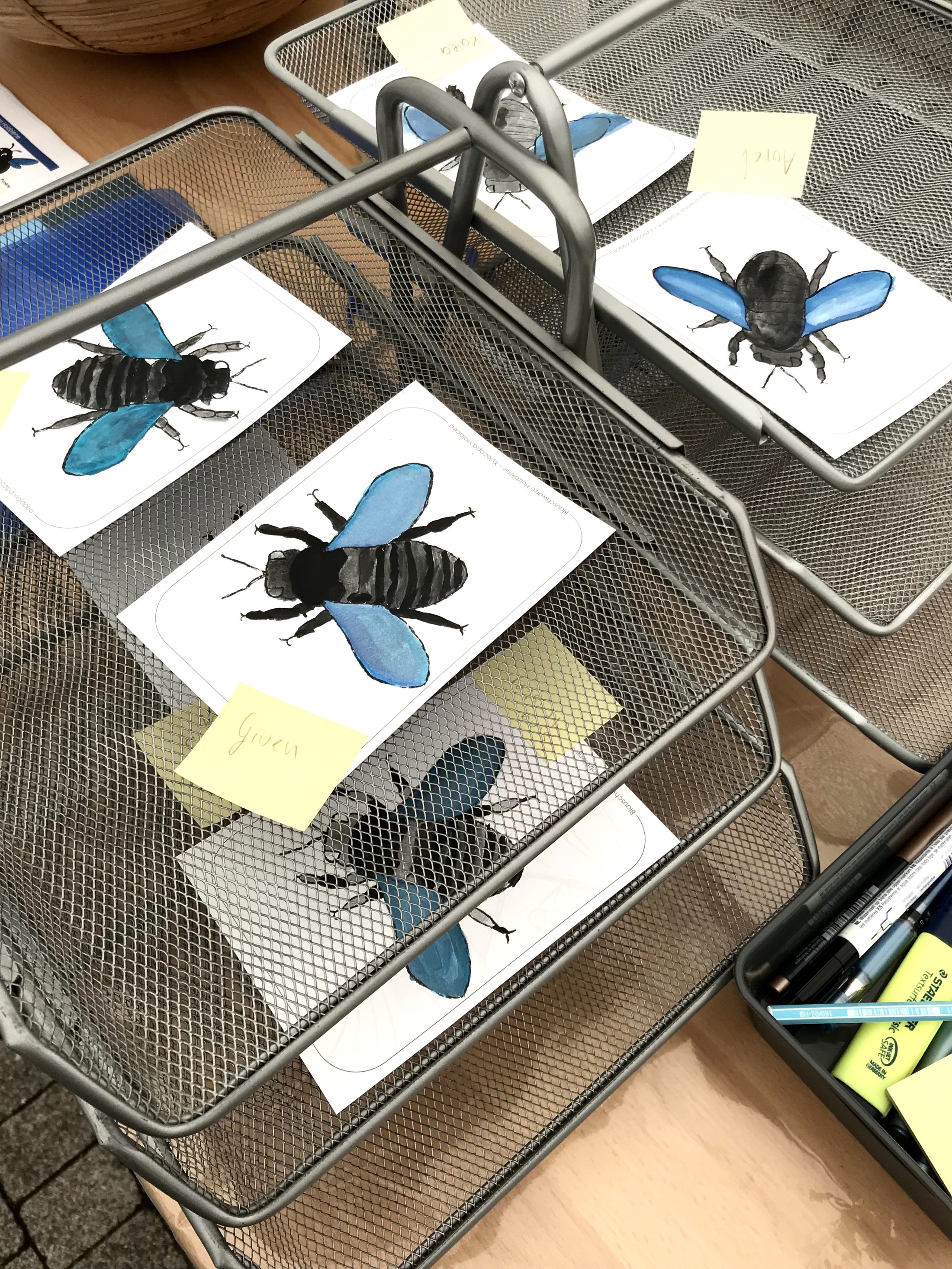 Netzwerk Naturgarten, Bienenzauber 2025 – Rückblick und Impressionen