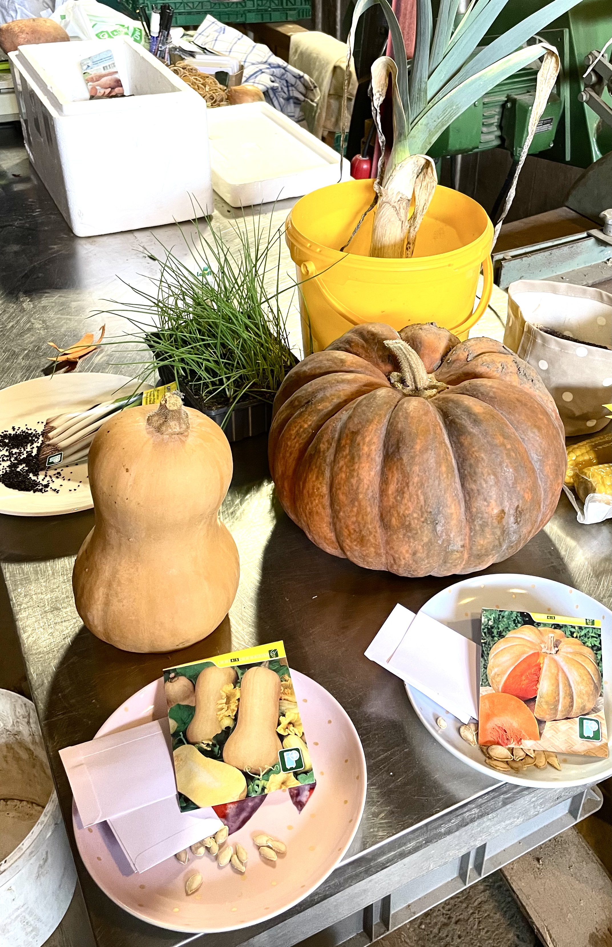 Netzwerk Naturgarten, Vom Sämli in den Topf – Rückblick