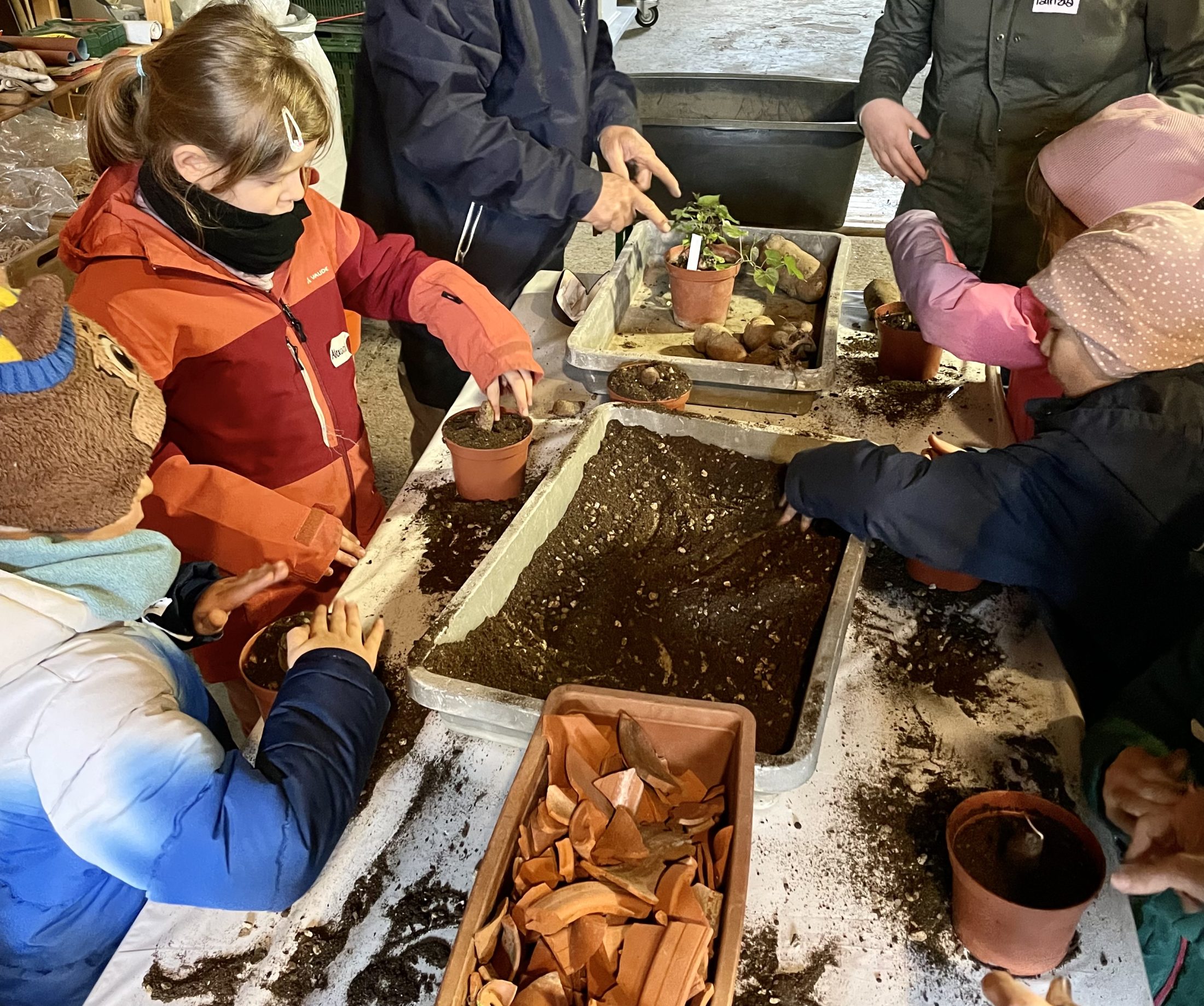 Netzwerk Naturgarten, Vom Sämli in den Topf – Rückblick