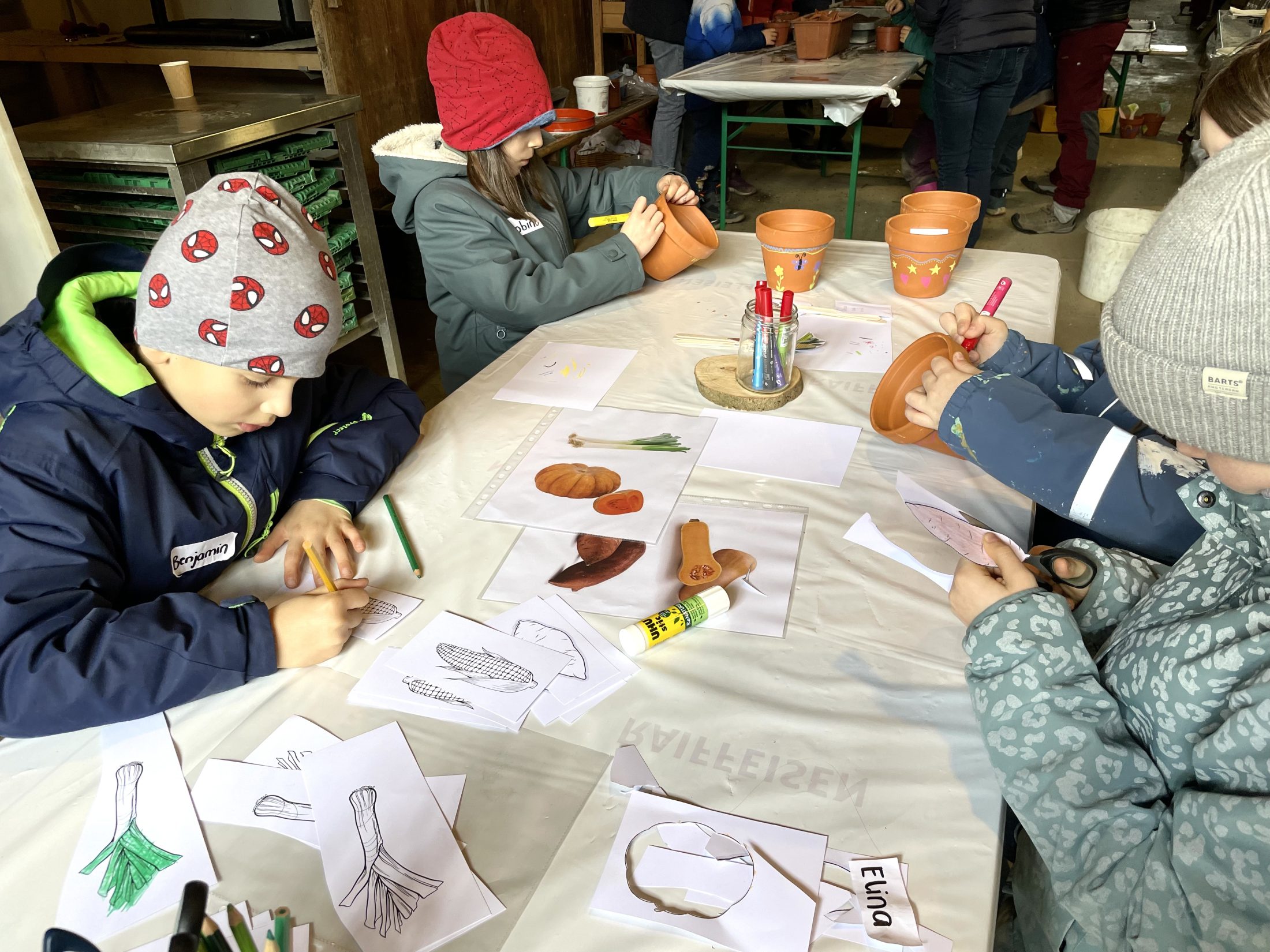 Netzwerk Naturgarten, Vom Sämli in den Topf – Rückblick