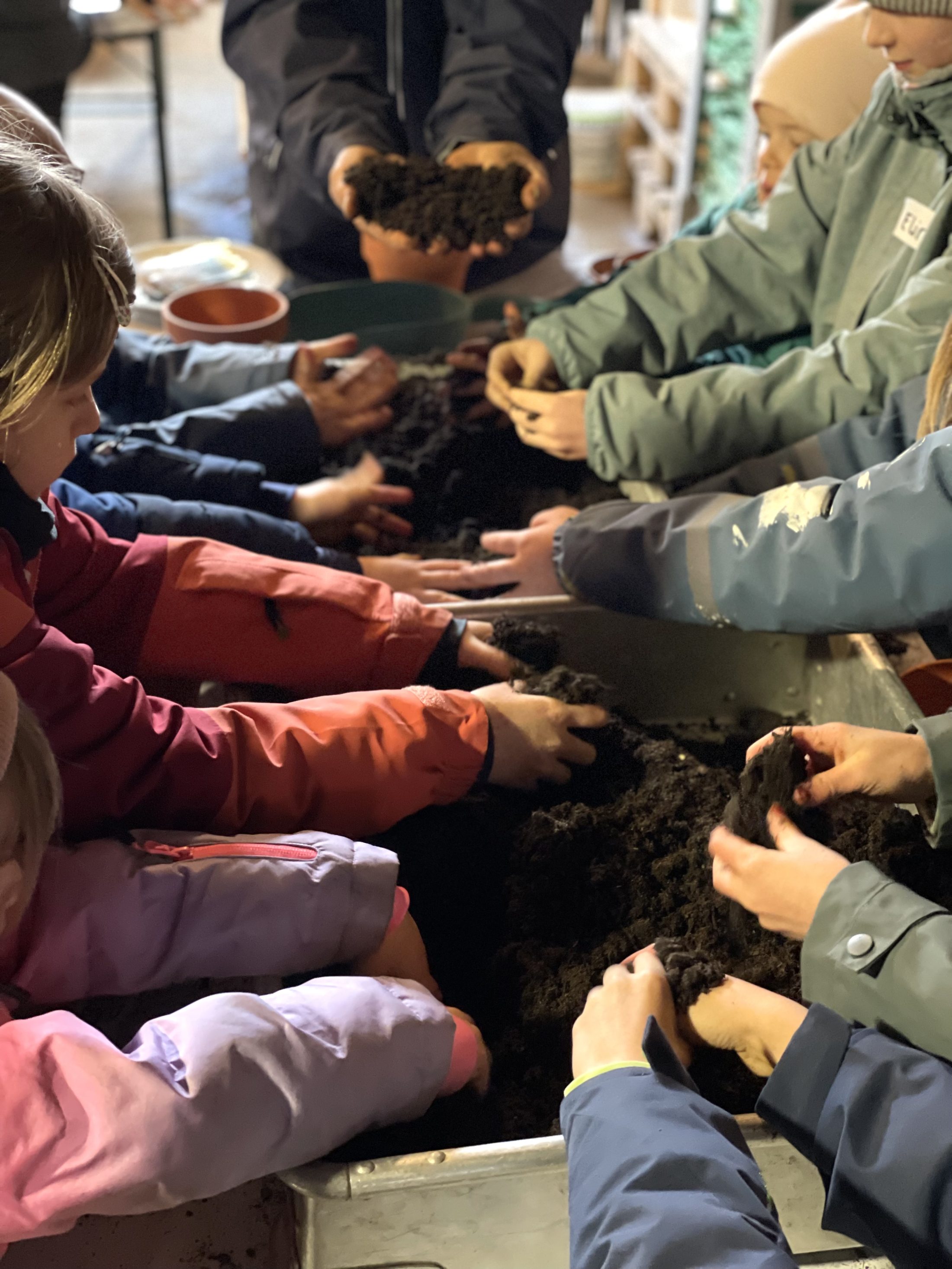 Netzwerk Naturgarten, Vom Sämli in den Topf – Rückblick