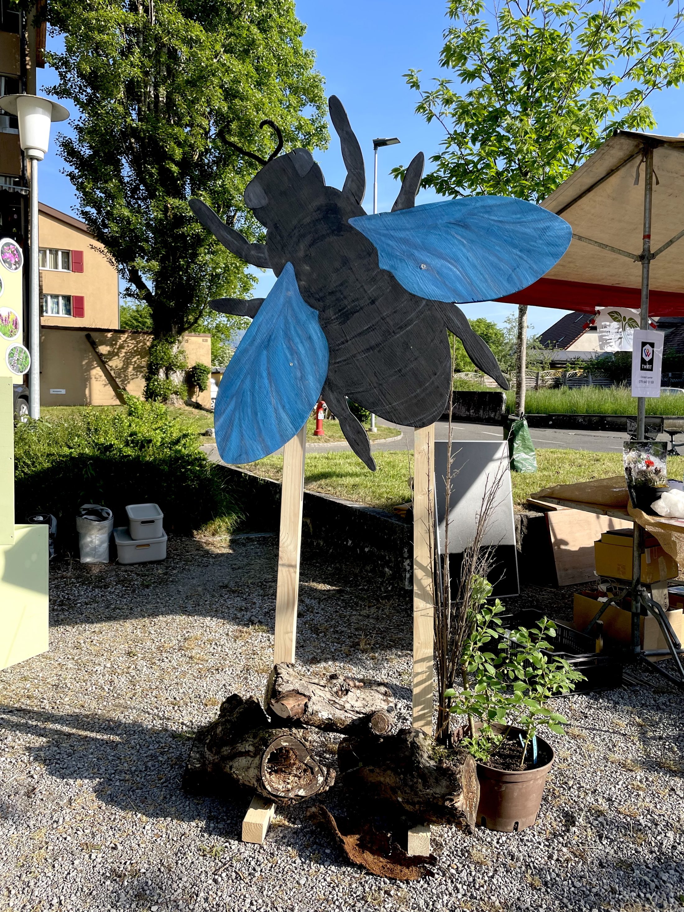 Netzwerk Naturgarten, 16. Pflanzen-Erlebnistag Biberist