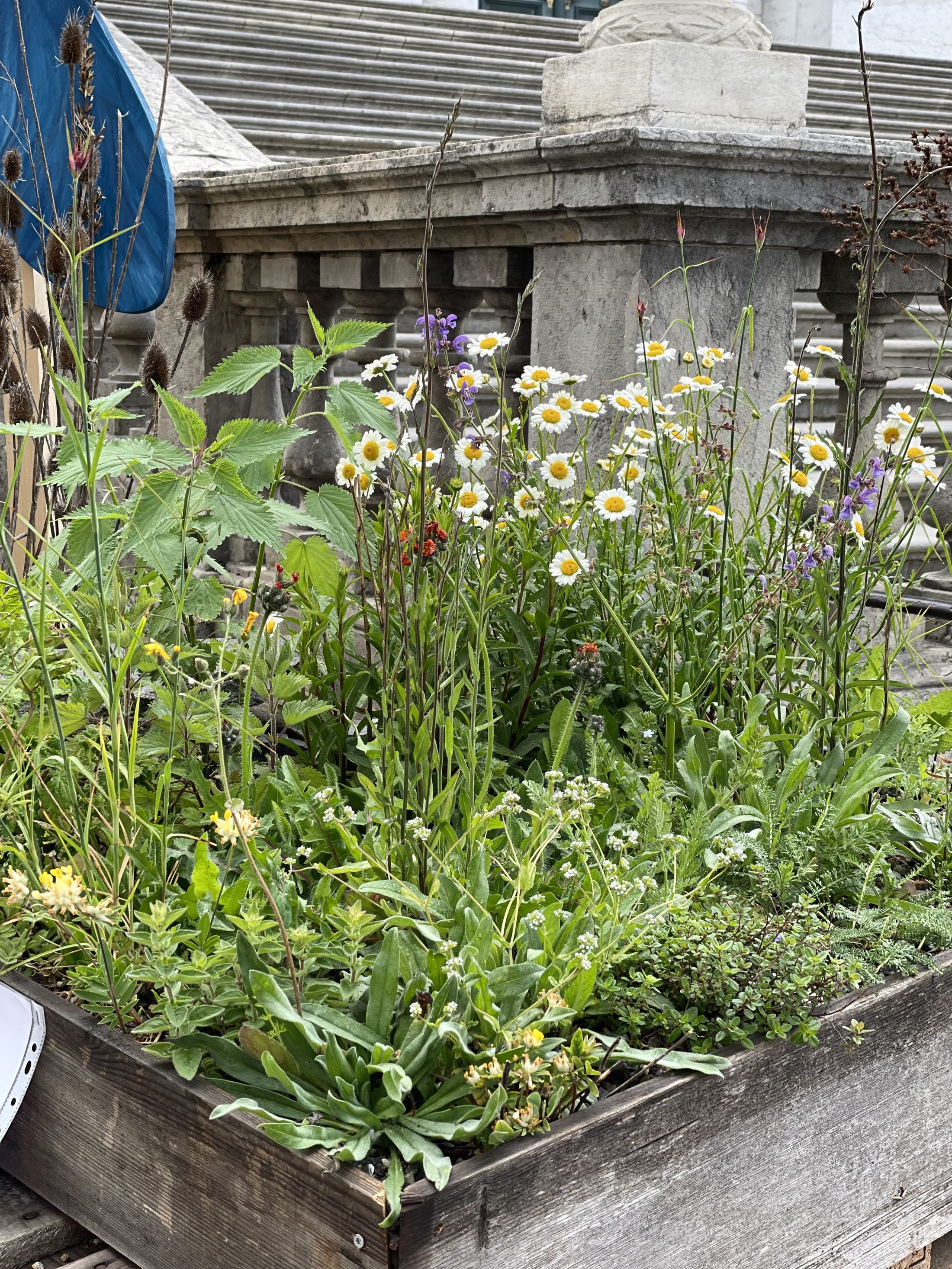 Netzwerk Naturgarten, Im Einsatz für die Biodiversität