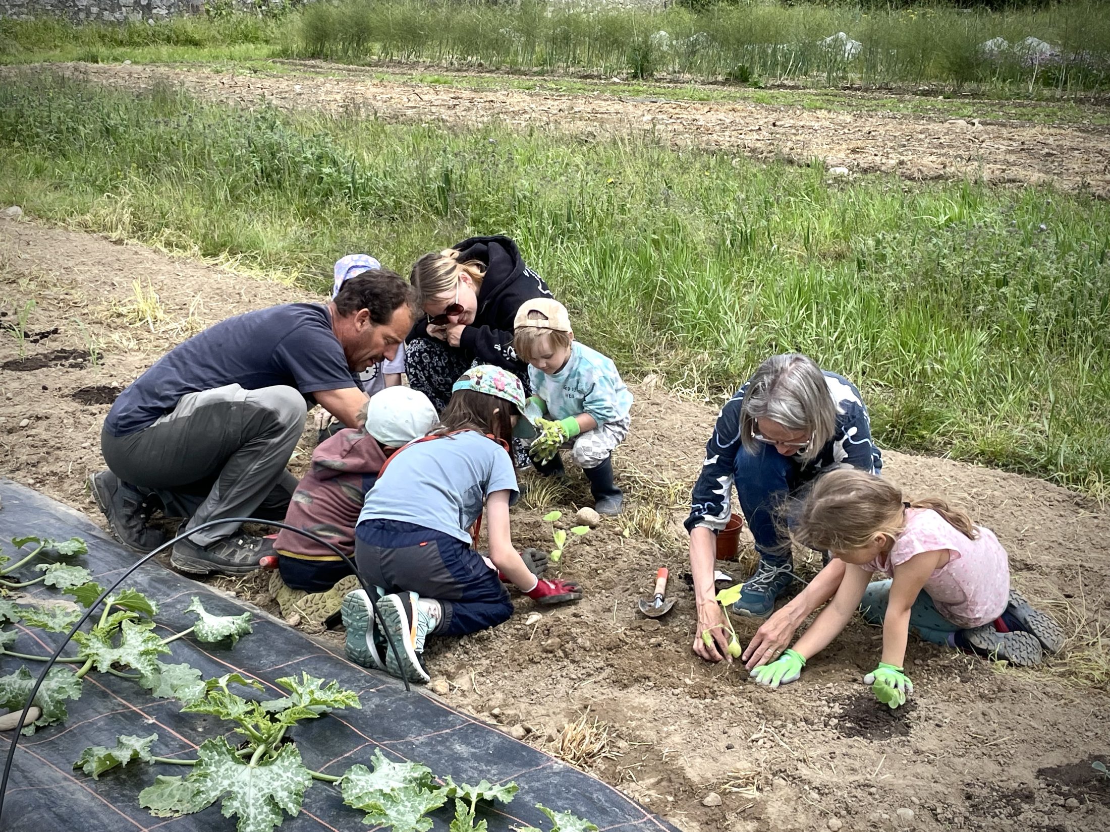 Netzwerk Naturgarten, Vom Topf ins Beet – Rückblick