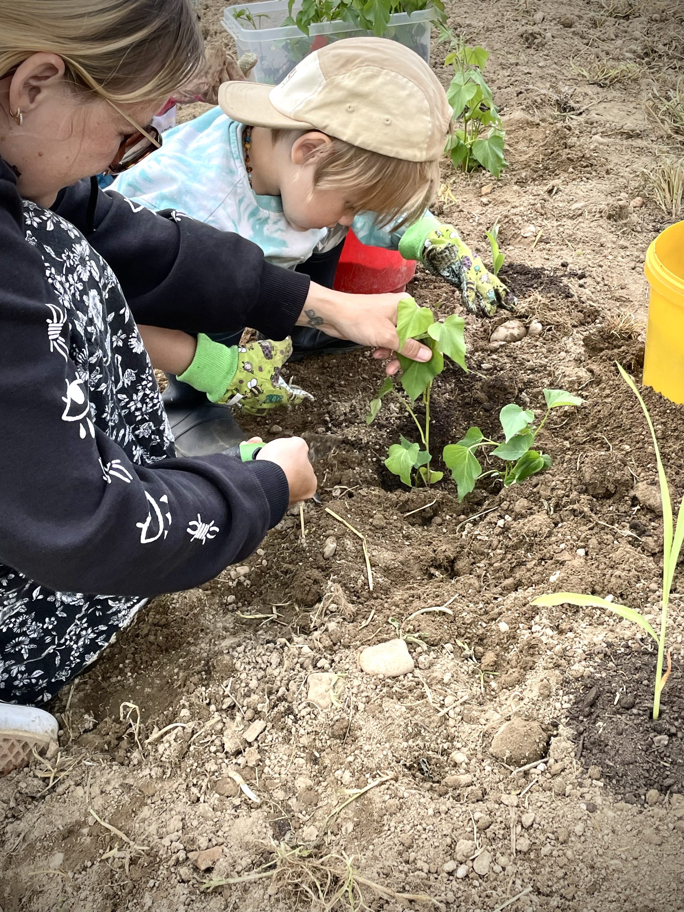 Netzwerk Naturgarten, Vom Topf ins Beet – Rückblick