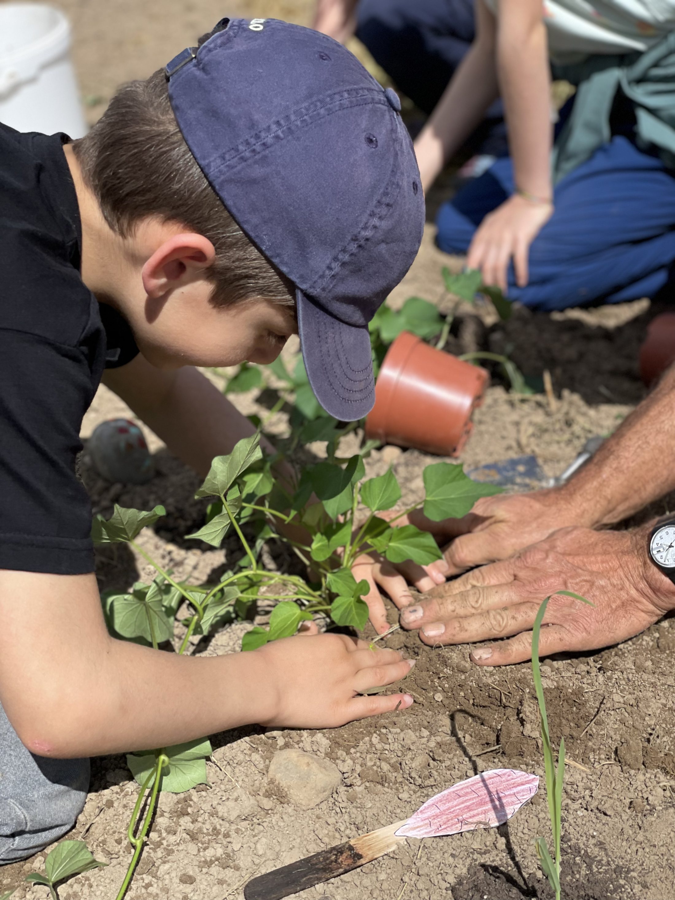 Netzwerk Naturgarten, Vom Topf ins Beet – Rückblick