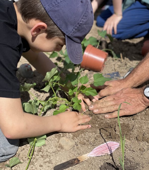 Netzwerk Naturgarten, Vom Topf ins Beet – Rückblick