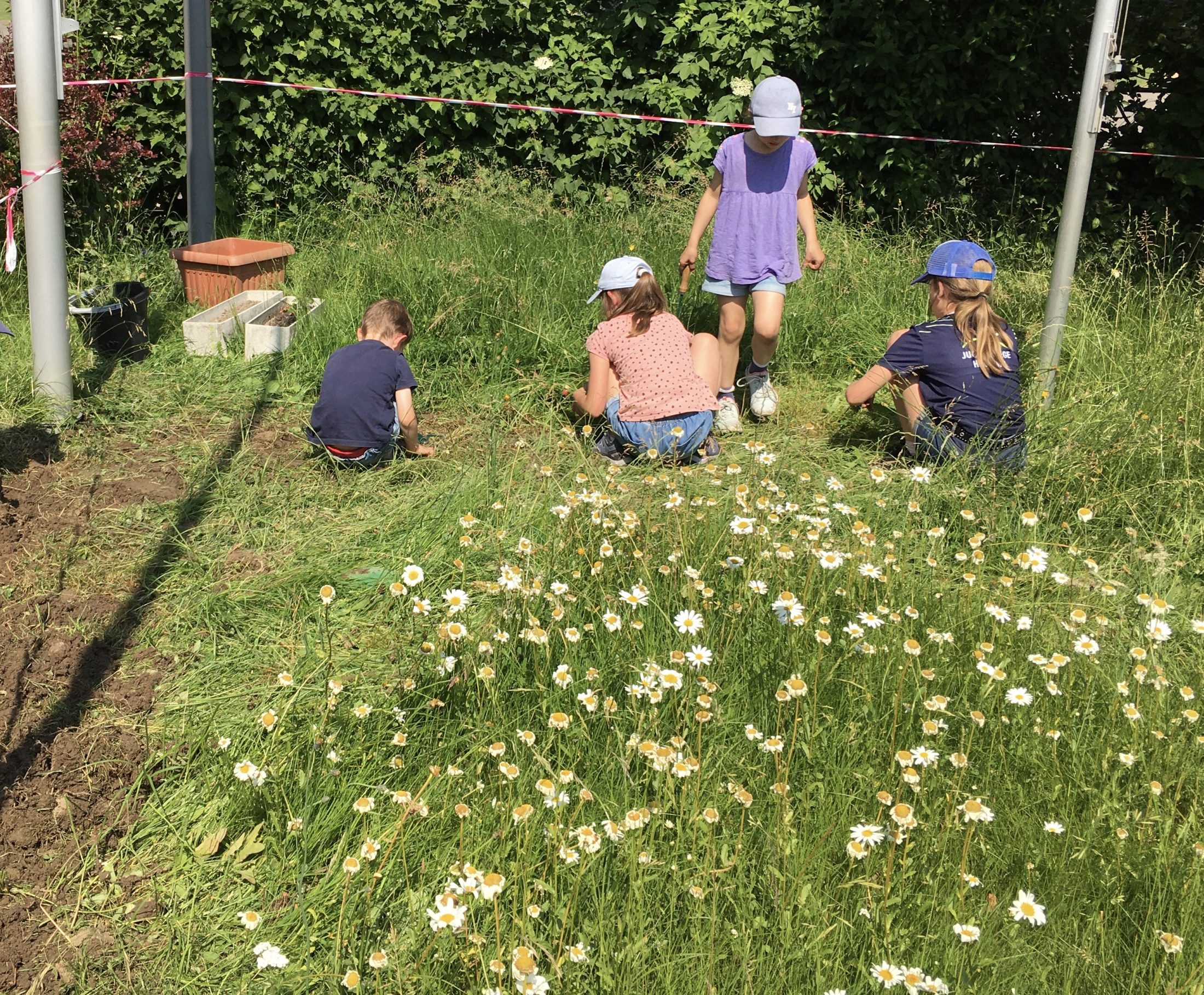 Netzwerk Naturgarten, Pilotprojekt «Schulnaturgarten»