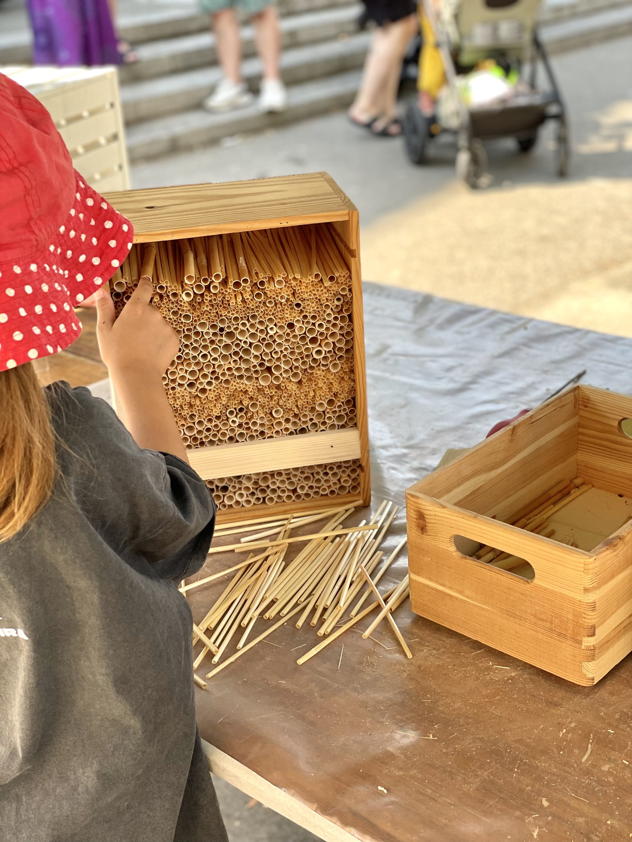 Netzwerk Naturgarten, Rückblick Stadtfest Solothurn