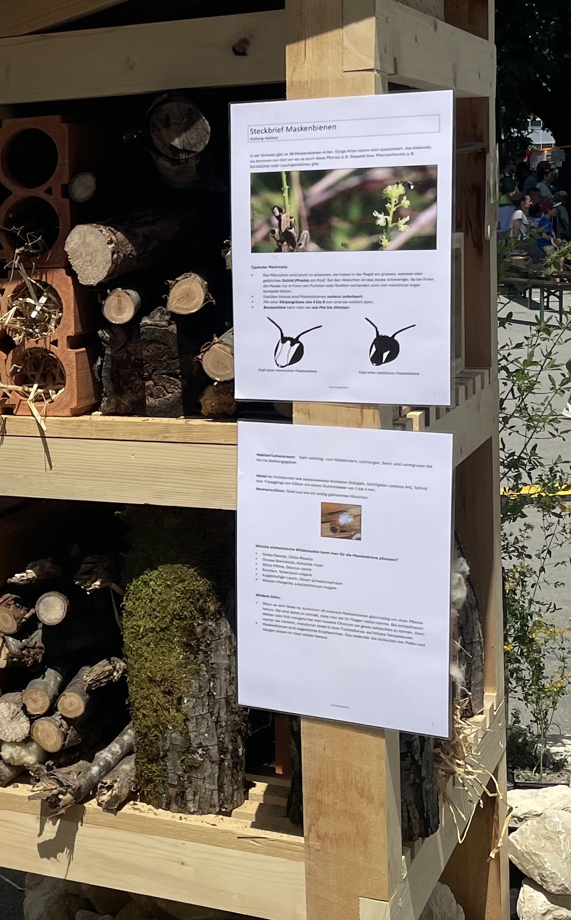 Netzwerk Naturgarten, Rückblick Stadtfest Solothurn