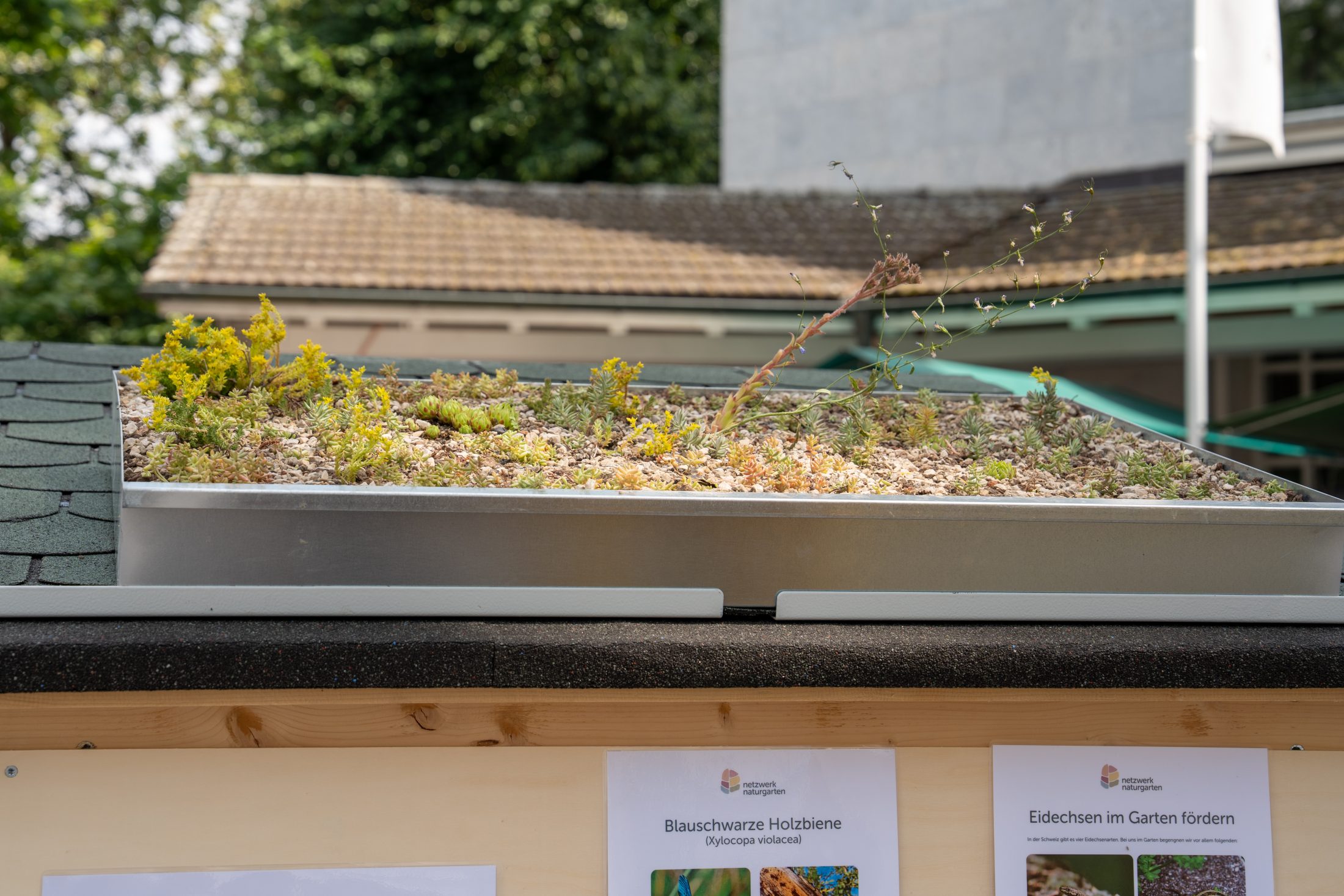 Netzwerk Naturgarten, Rückblick Stadtfest Solothurn