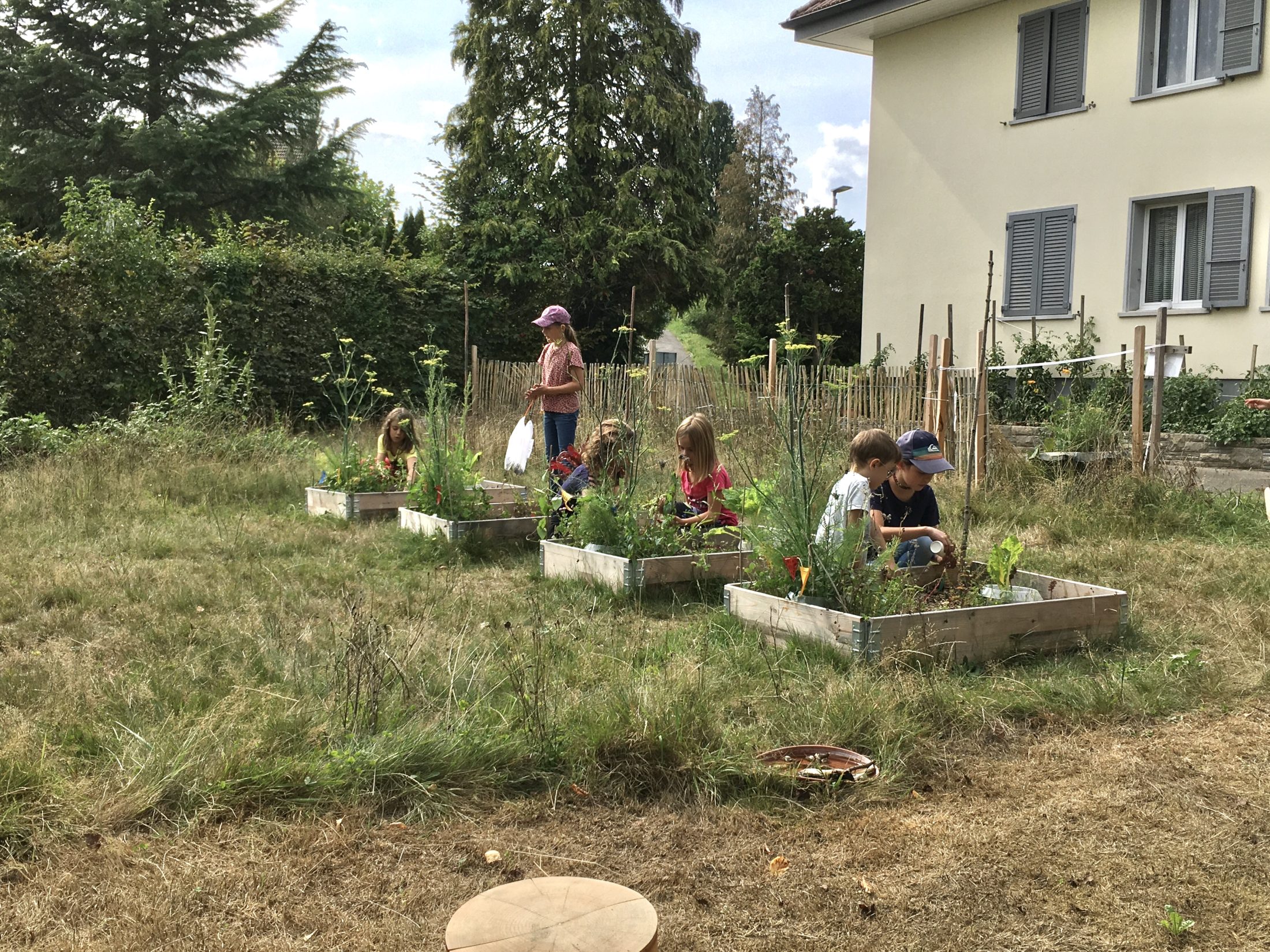 Netzwerk Naturgarten, Pilotprojekt «Schulnaturgarten»