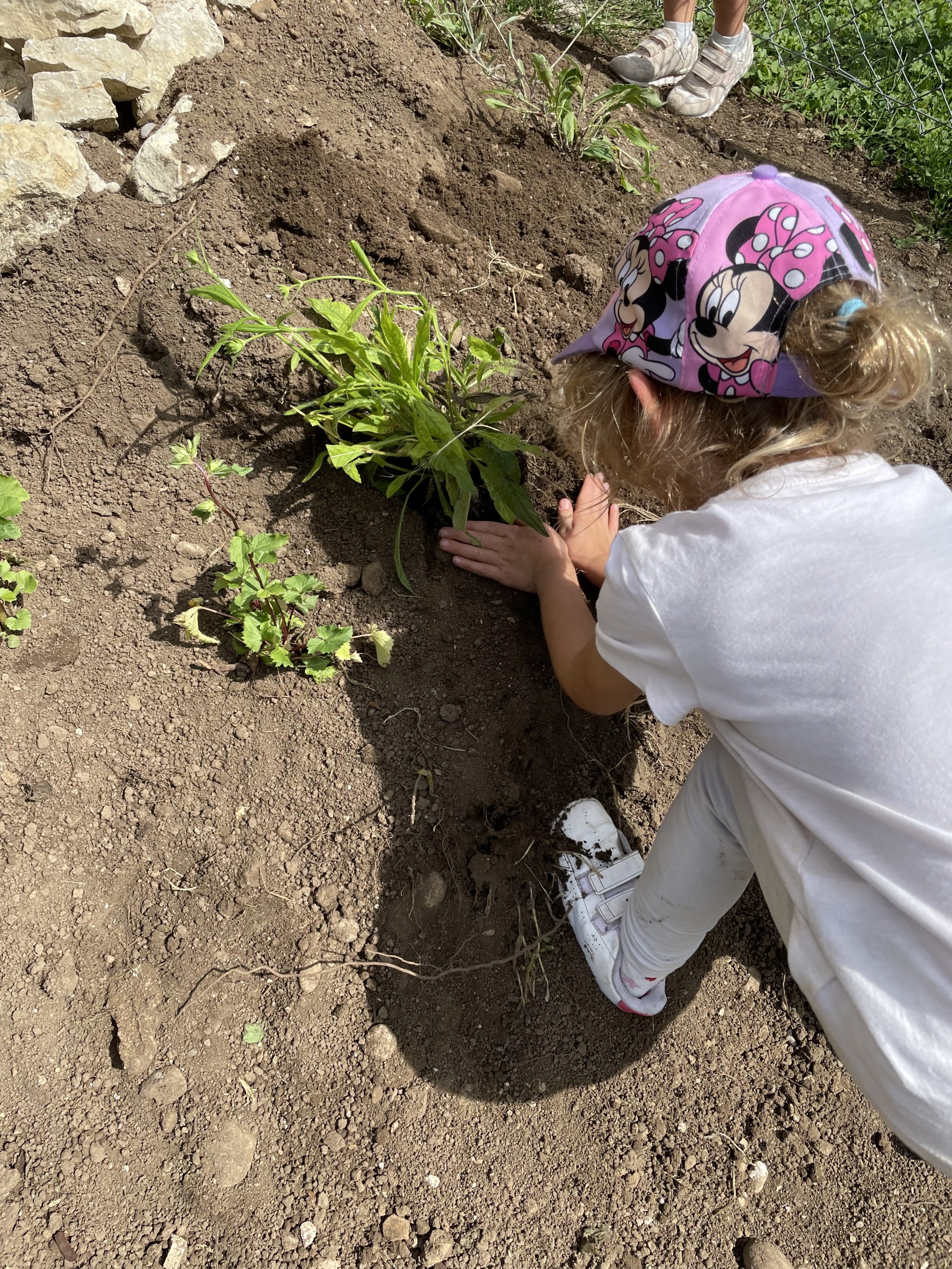 Netzwerk Naturgarten, Update zu unserem Lebensturm