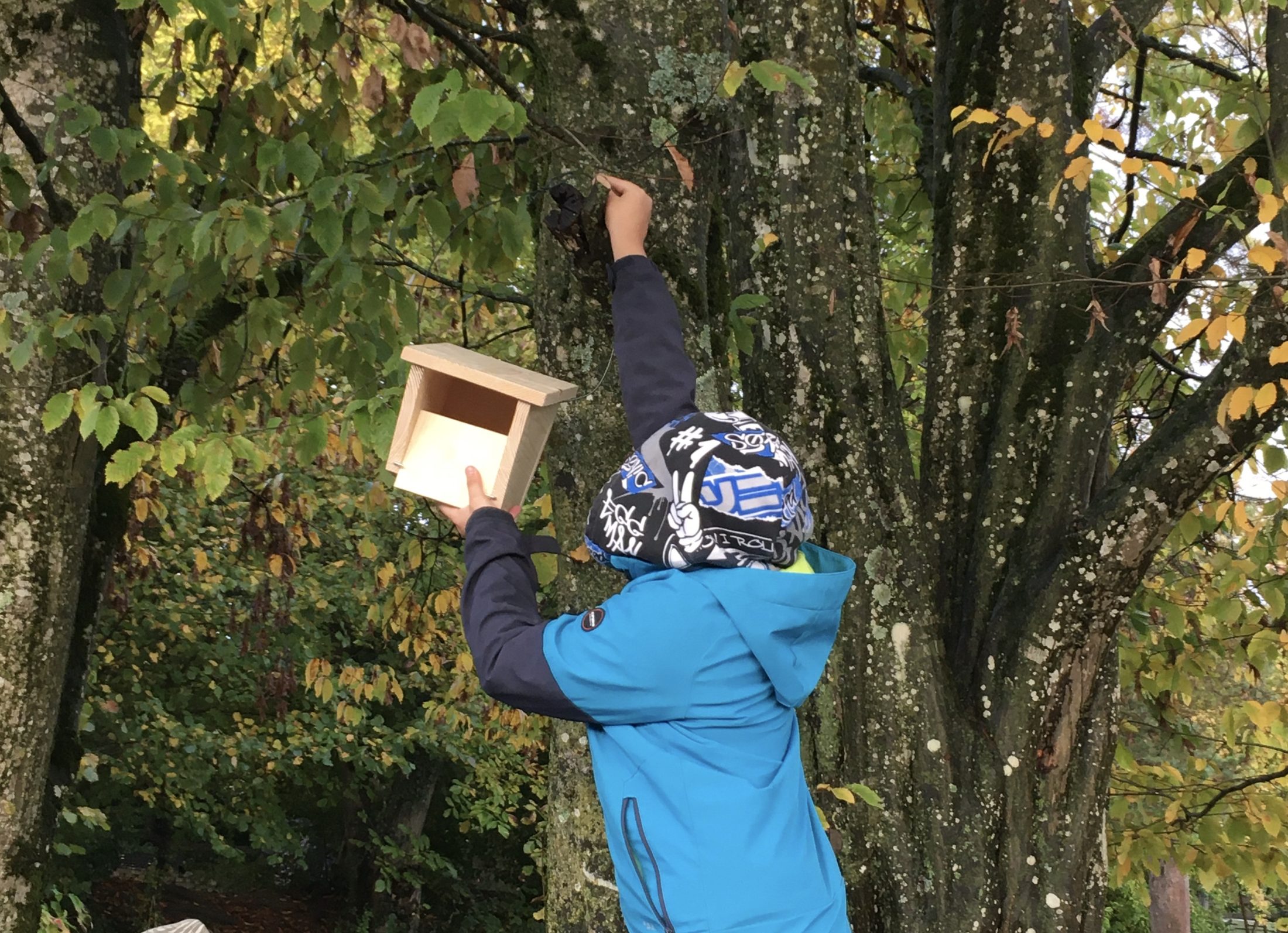 Netzwerk Naturgarten, Nistkästen bauen – Schulprojekt