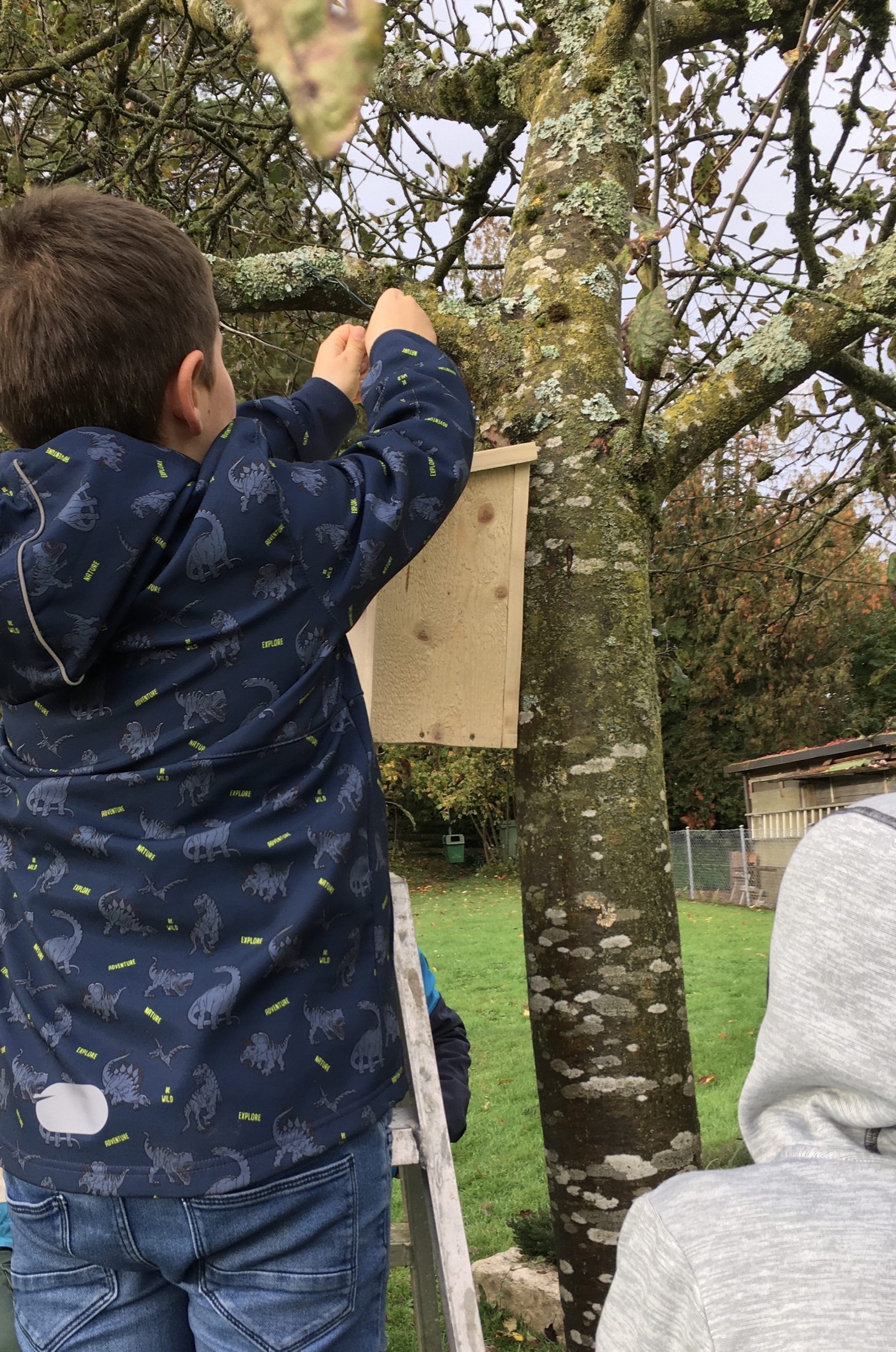 Netzwerk Naturgarten, Nistkästen bauen – Schulprojekt