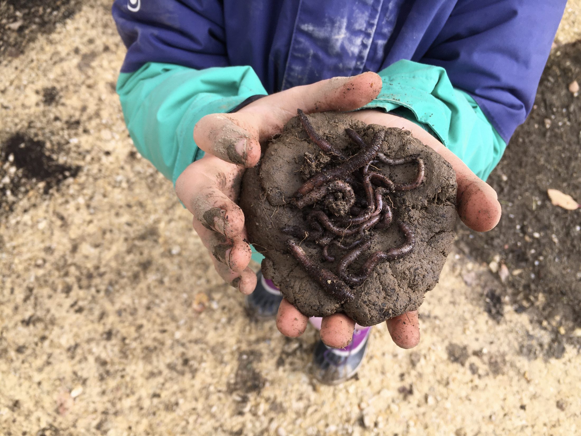 Netzwerk Naturgarten, Kräutersteinkreise anlegen – Schulnaturgarten