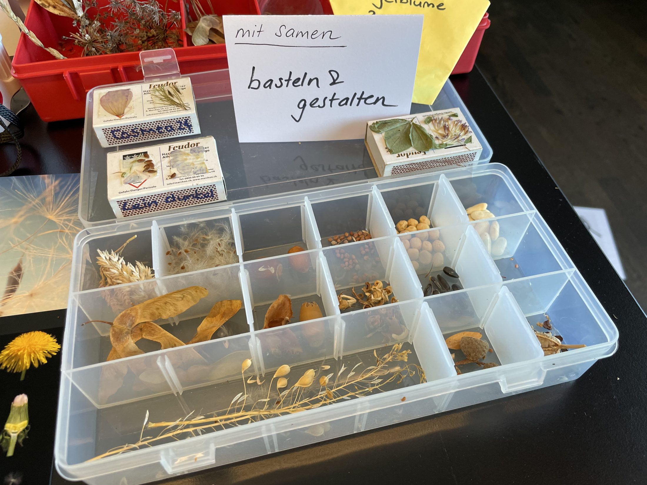 Netzwerk Naturgarten, Unser erster Netzwerk-Event für Lehrpersonen