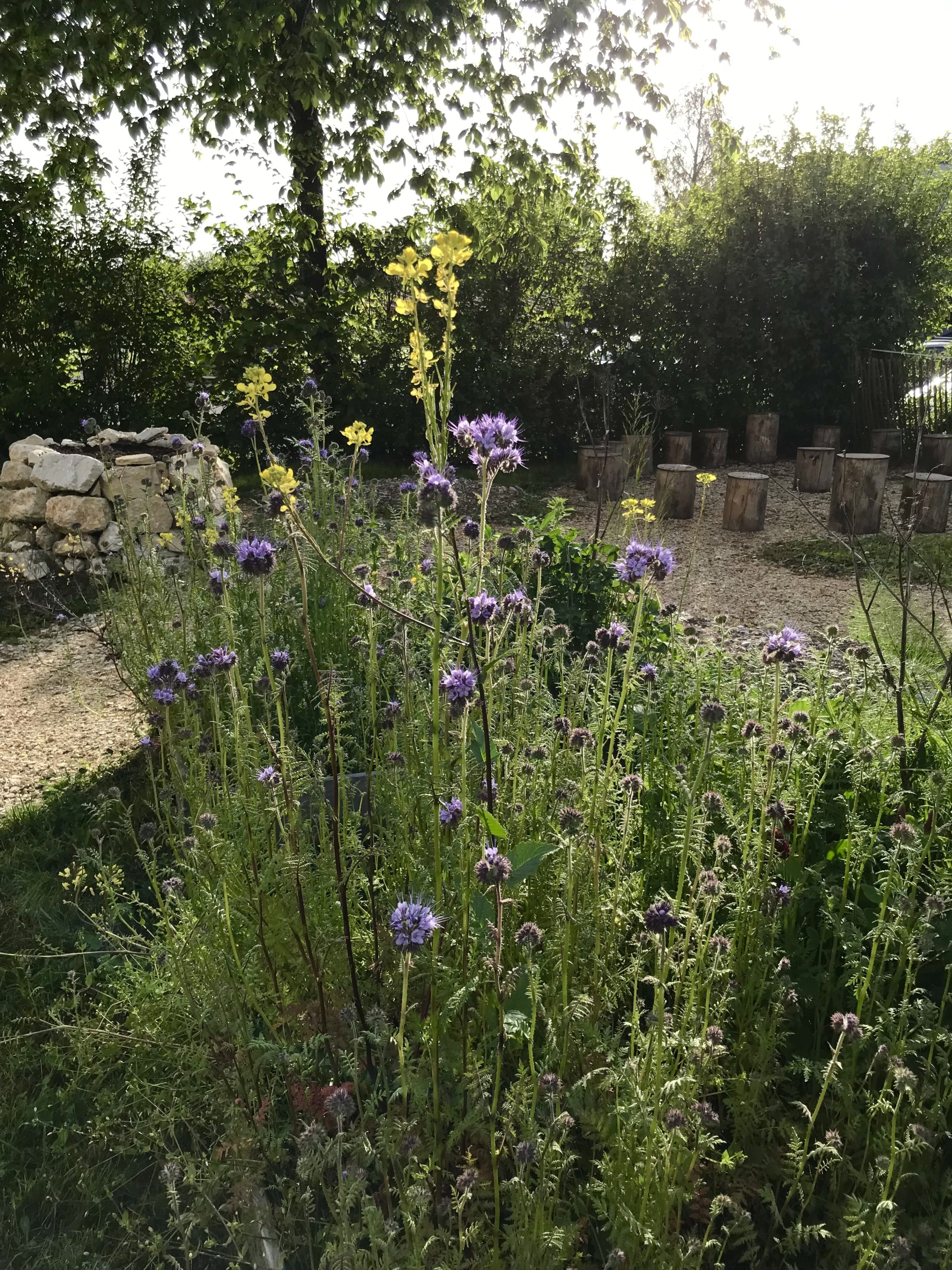 Netzwerk Naturgarten, Schulnaturgarten Horriwil 2025