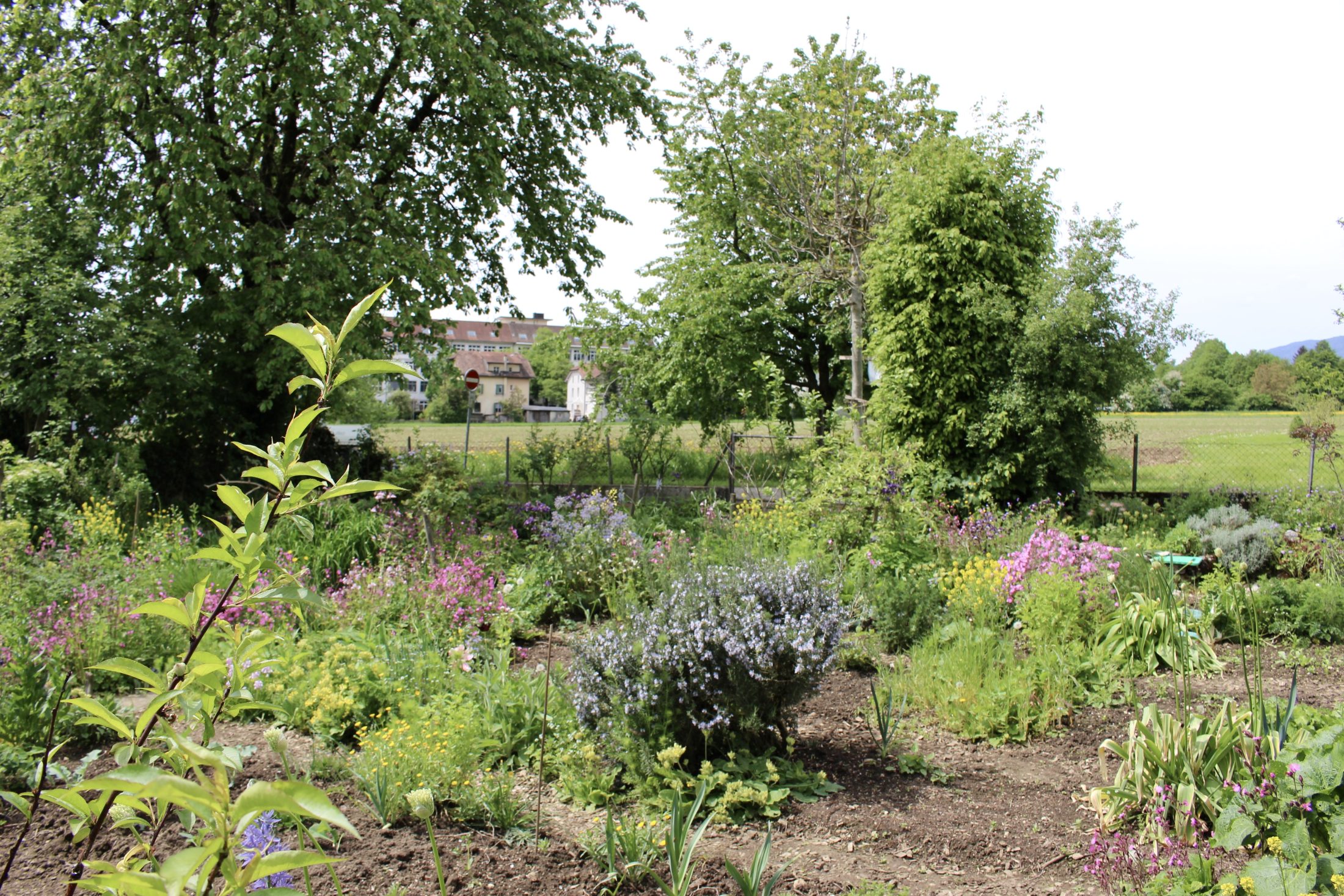 Netzwerk Naturgarten, 1. Mitgliederversammlung